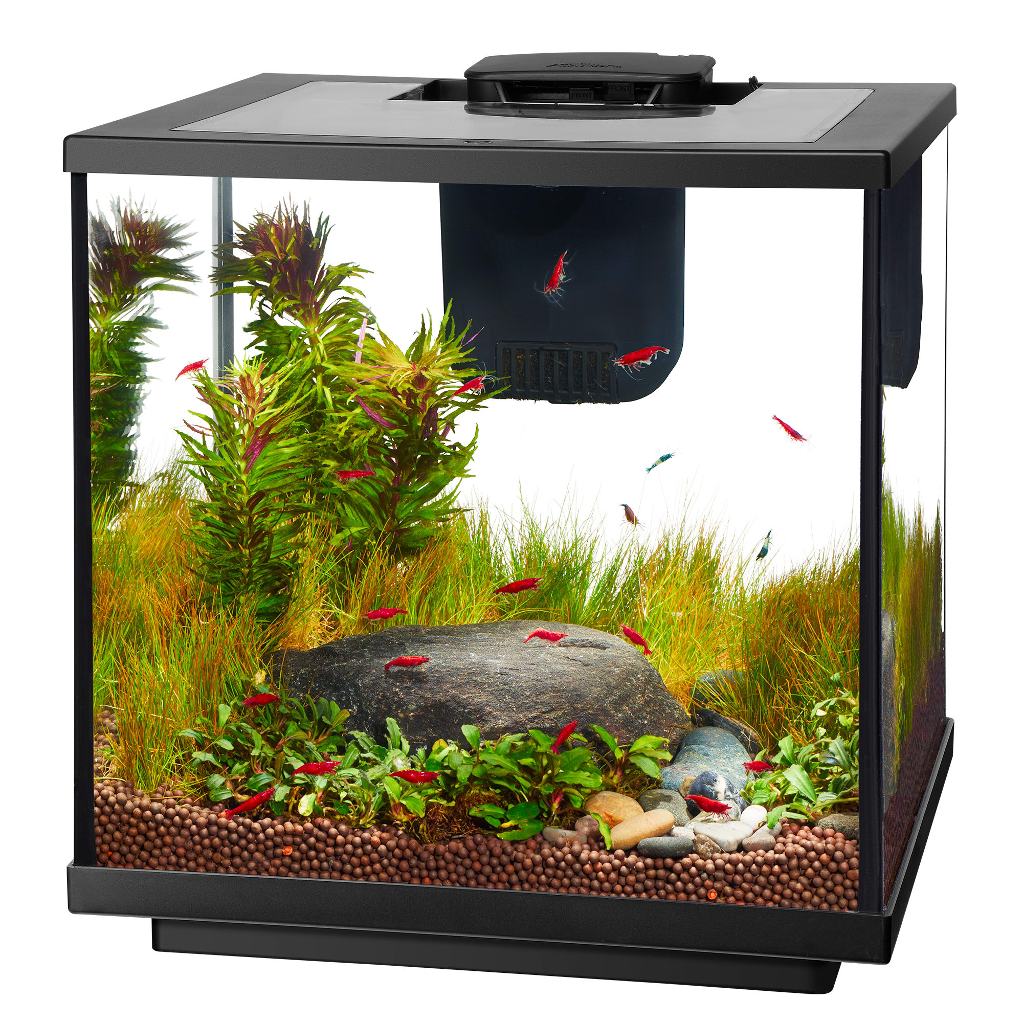 Aqueon LED 7.5 Gallon Shrimp Aquarium Kit