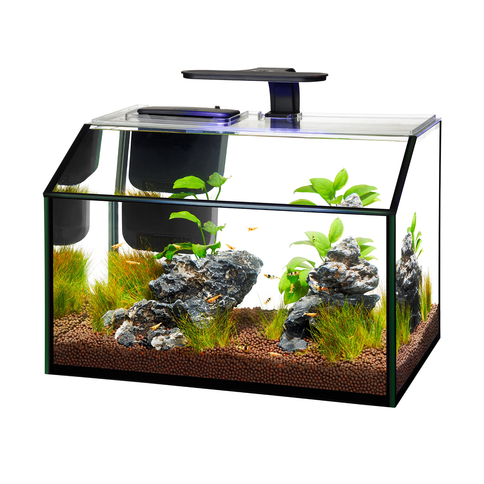 petco hexagon fish tank