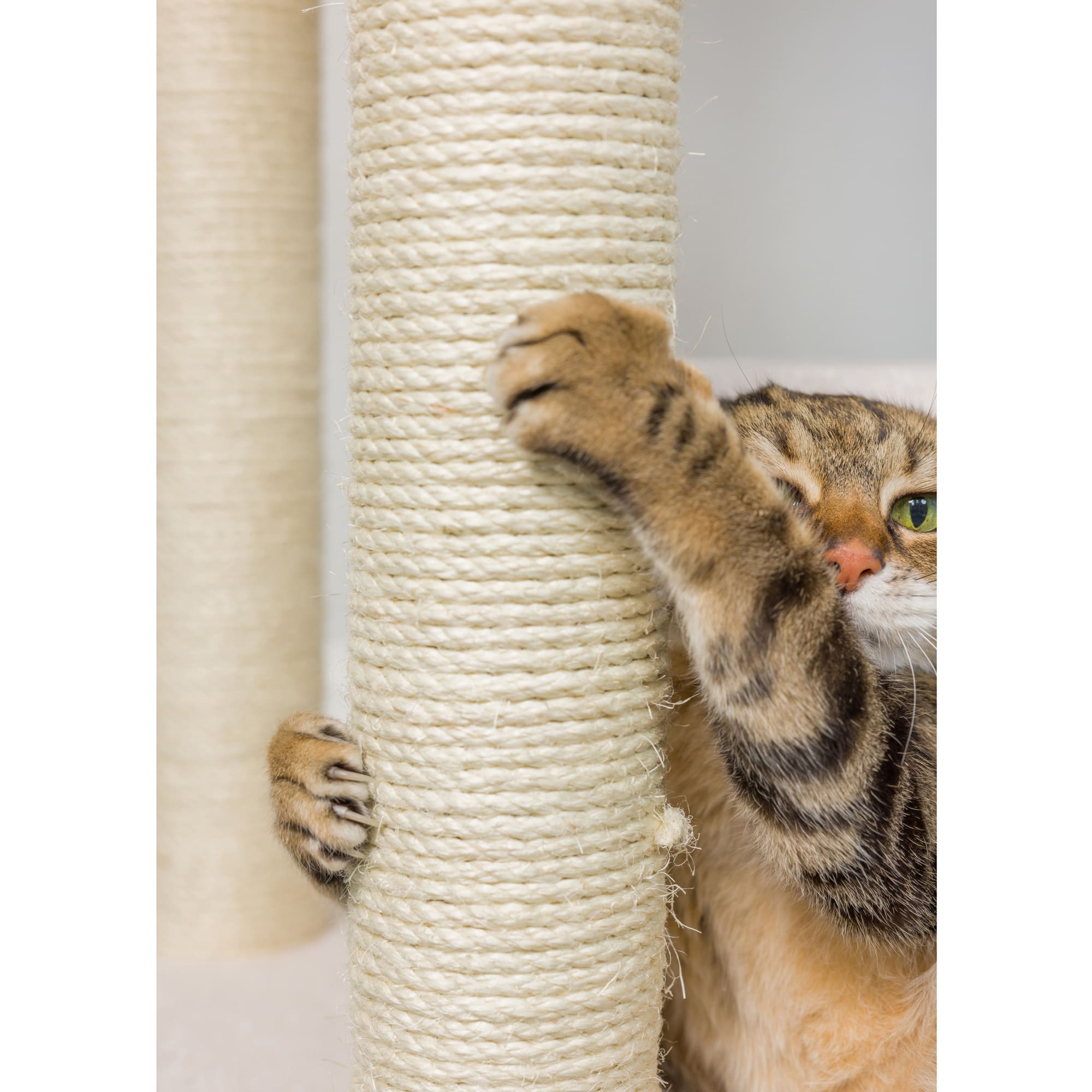 Armarkat 2024 cat tower