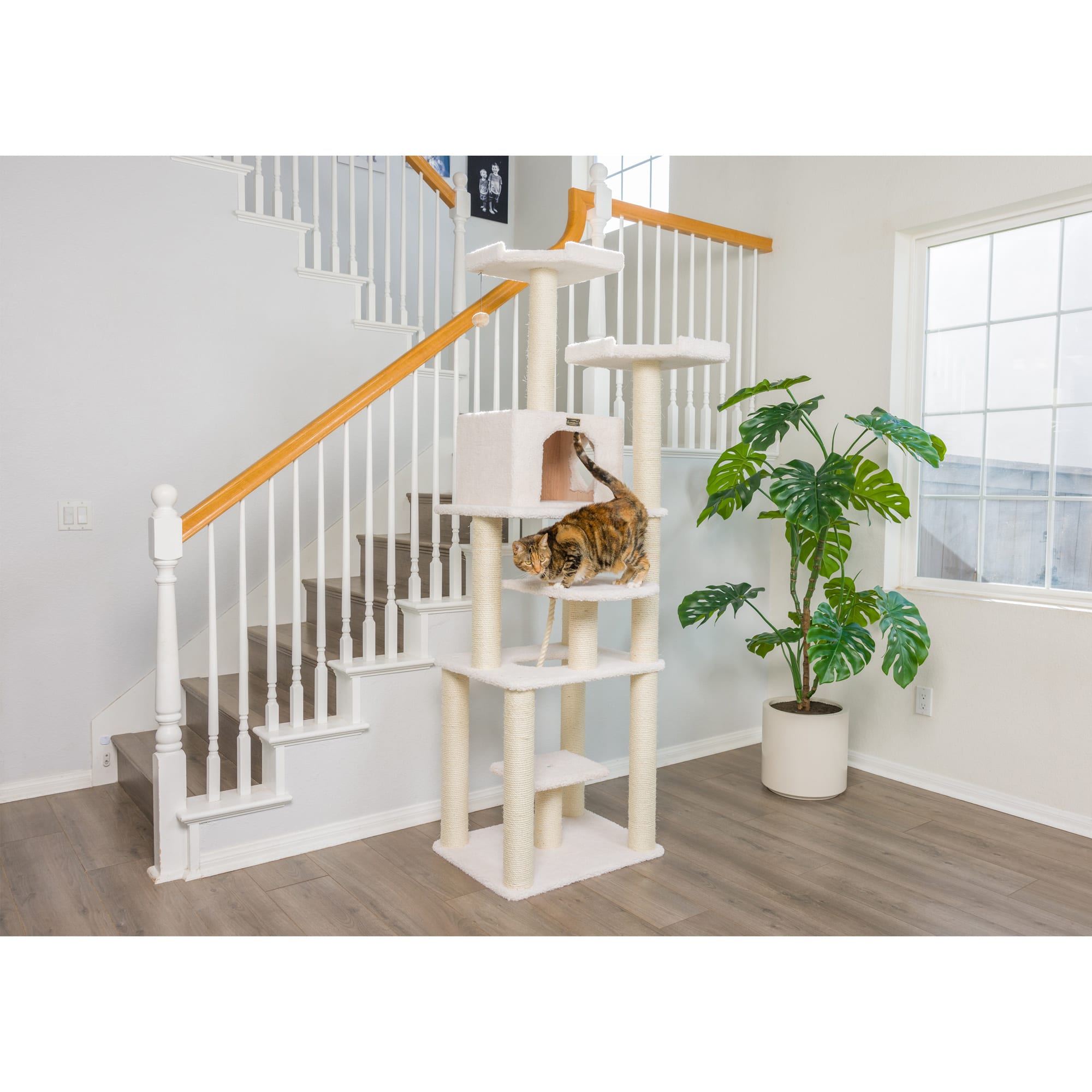 Armarkat classic 2025 cat tree