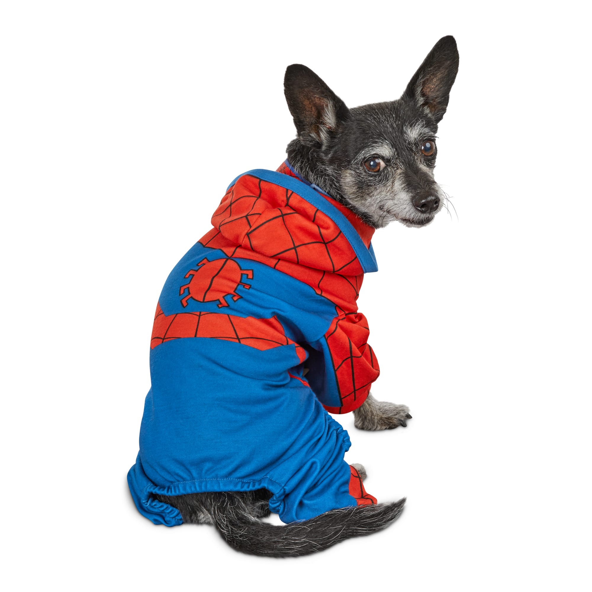 Marvel Spider Man Dog Suit Costume X Small Petco