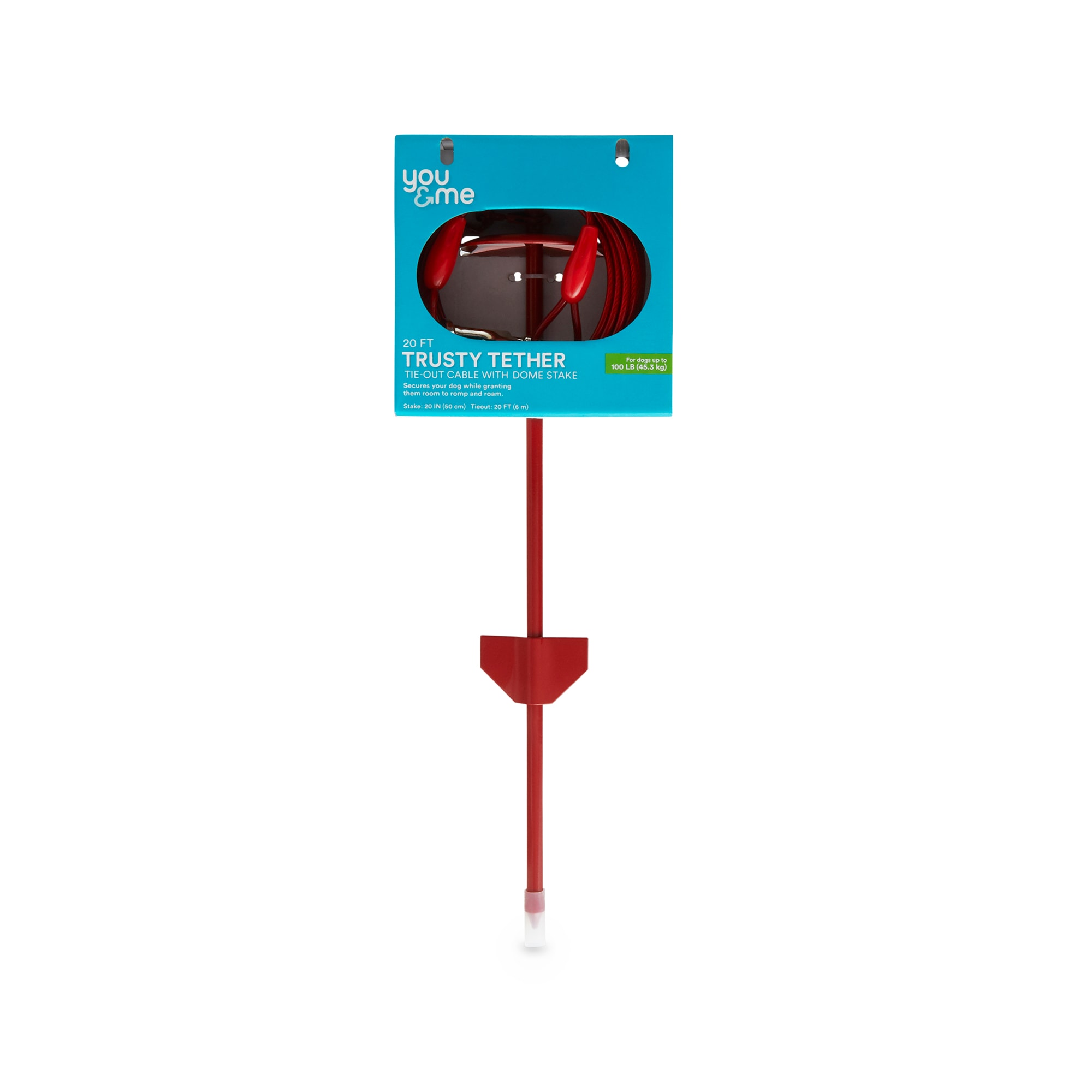 Dog tether outlet stake