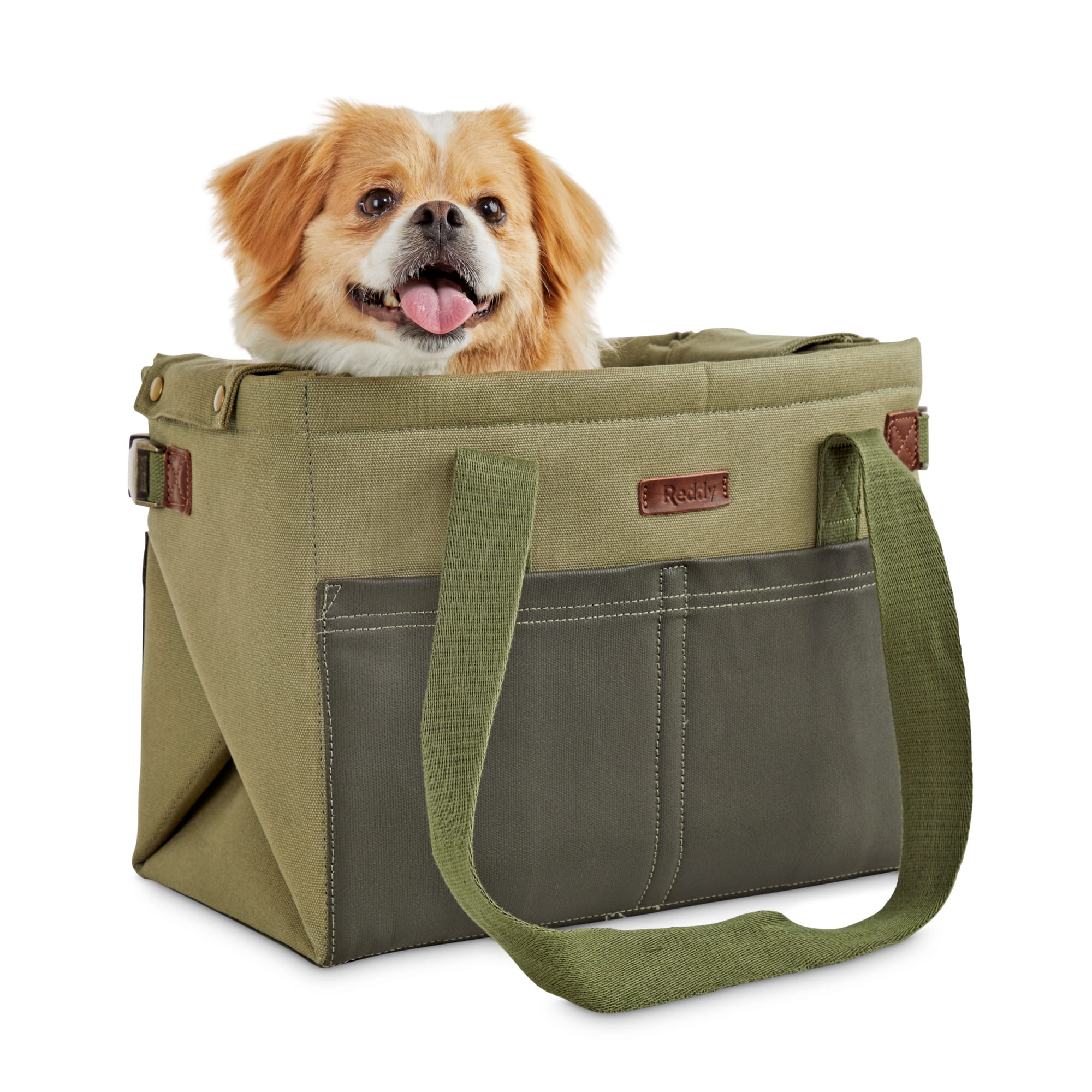 dog in carrier