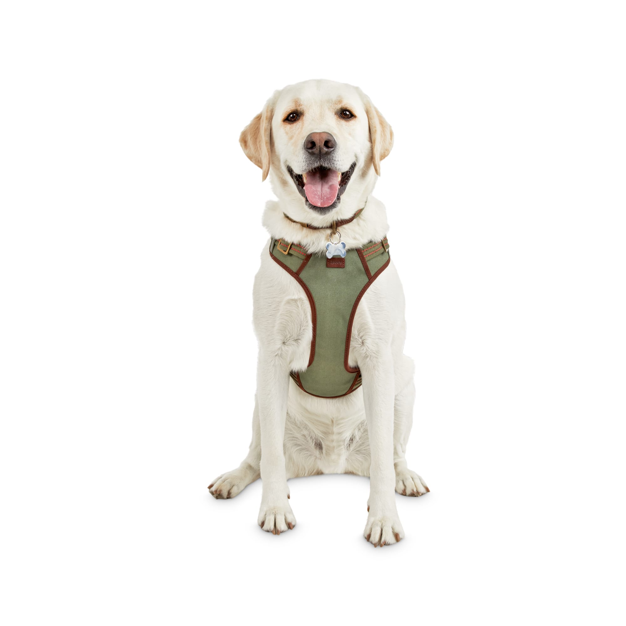 5 point dog harness