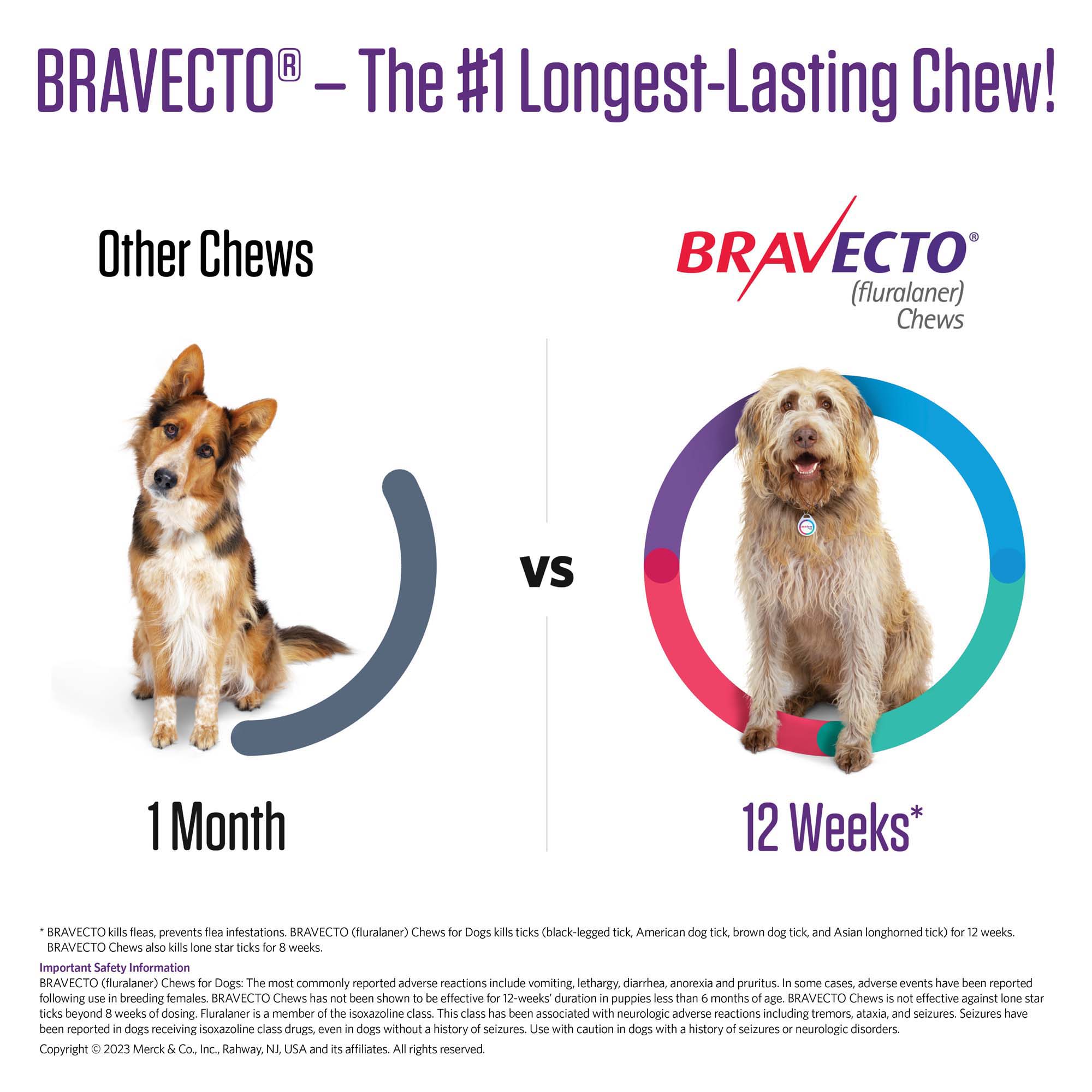 Bravecto Transdermal Antipulgas e Carrapatos MSD Para Cães 40 a 56kg -  Popular Pet