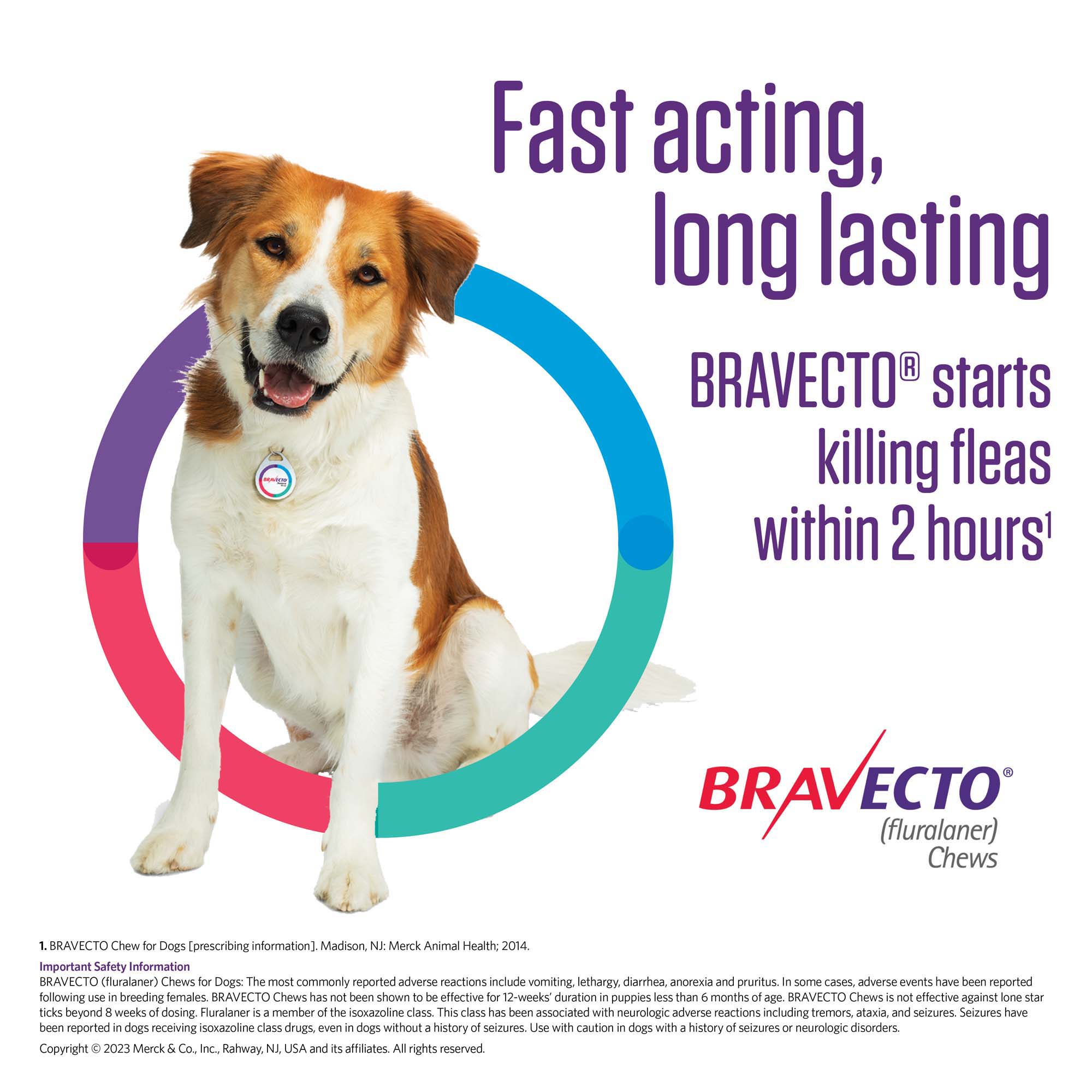 Bravecto Chews for Dogs 9.9-22 lbs, 3 Month Supply