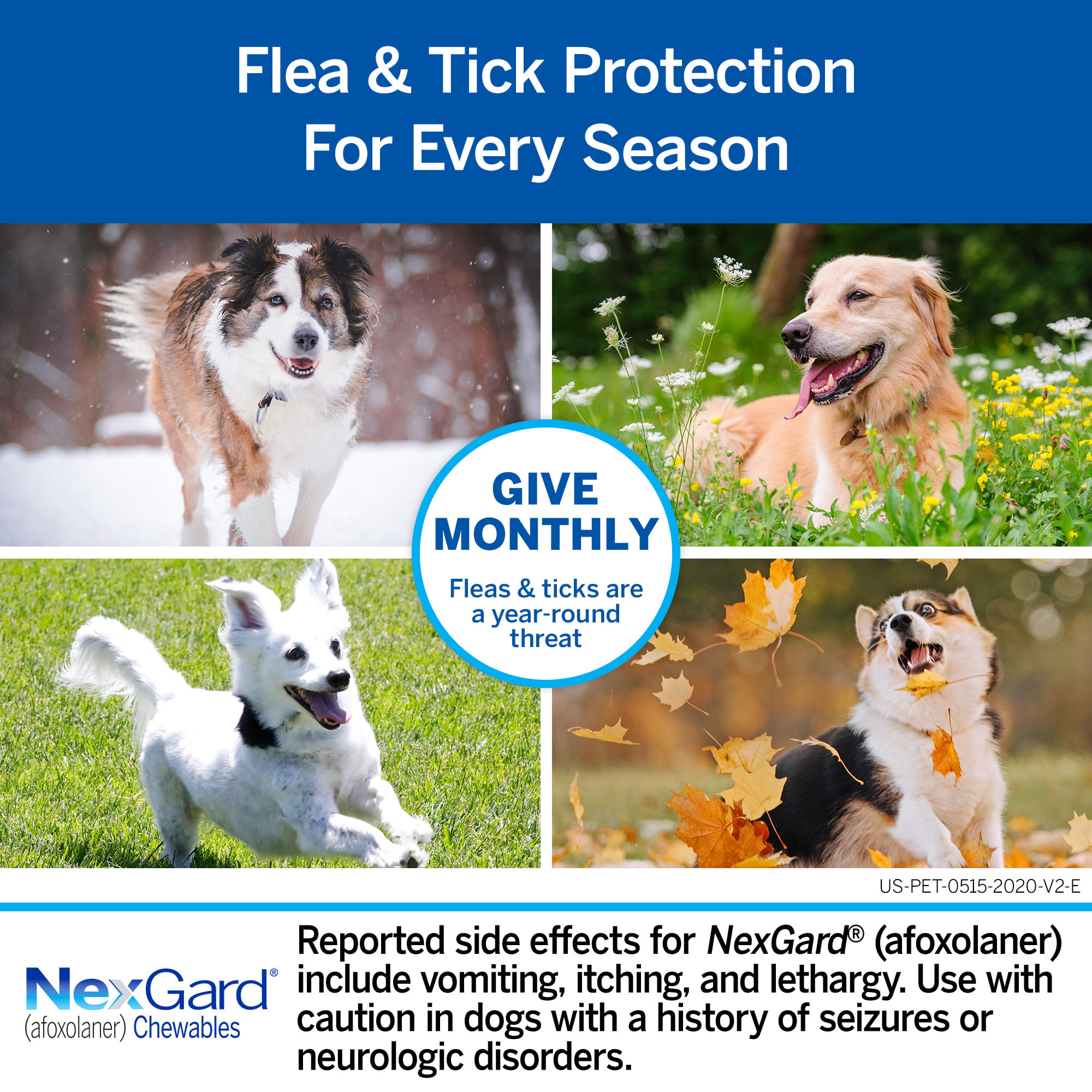 Nexgard for dogs petco sale