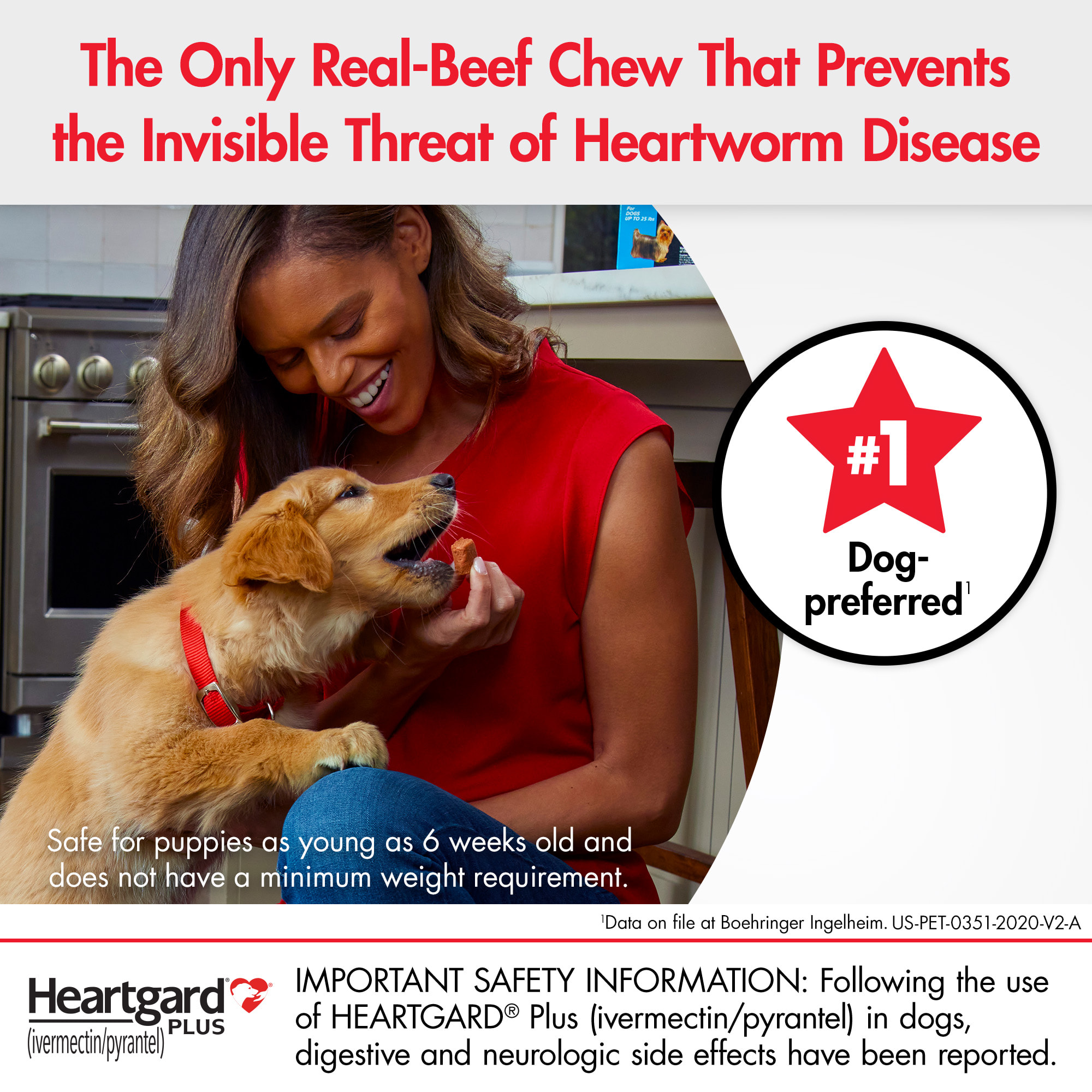 Heartgard for dogs clearance chewy