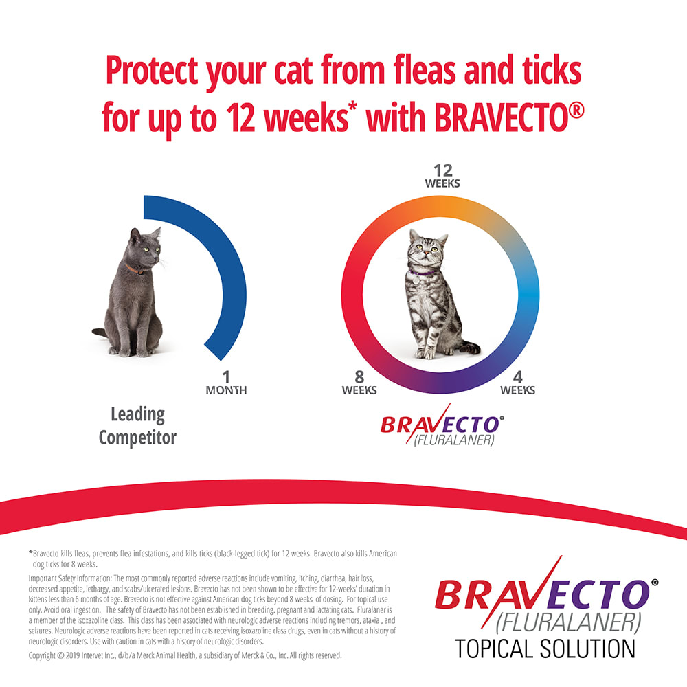 Bravecto Spot-On 3 Monthly Flea Treatment for Cats 6.25-12.5kg Purple –  Habitat Pet Supplies