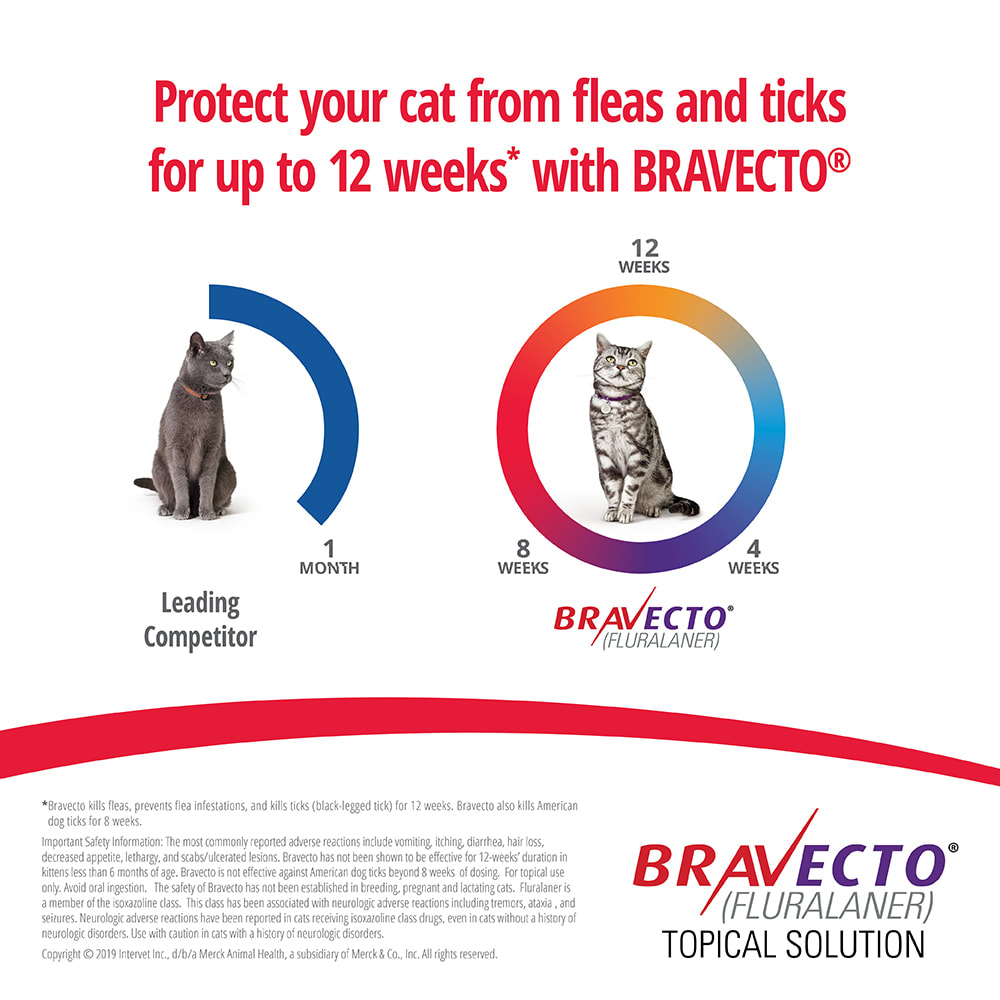 Bravecto for Cats - us-bravecto-com