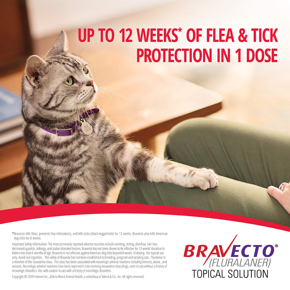 Bravecto Topical Solution for Cats 6.2-13.8 lbs, 3 Month Supply