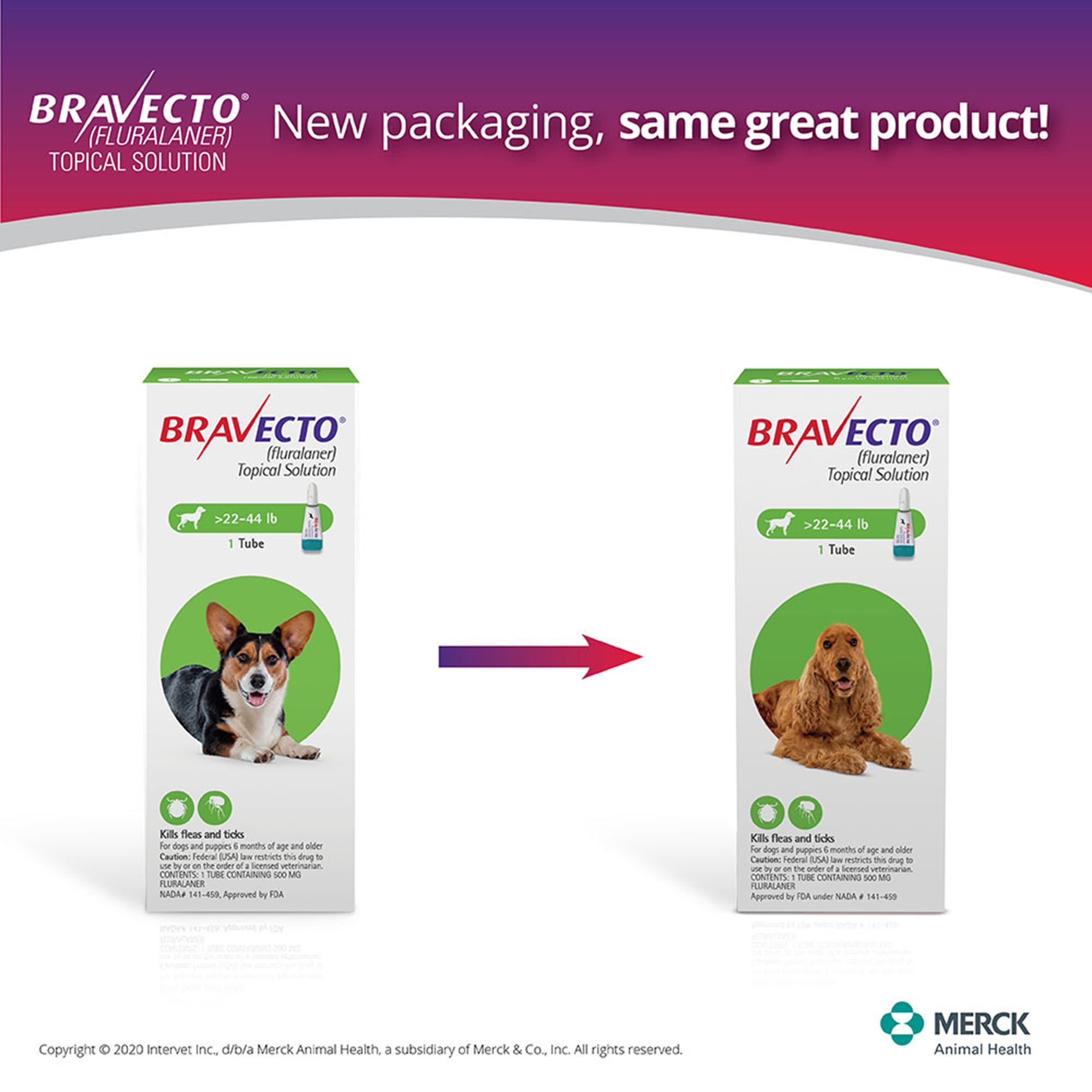 Bravecto Topical Solution for Dogs 22-44 lbs, 3 Month Supply