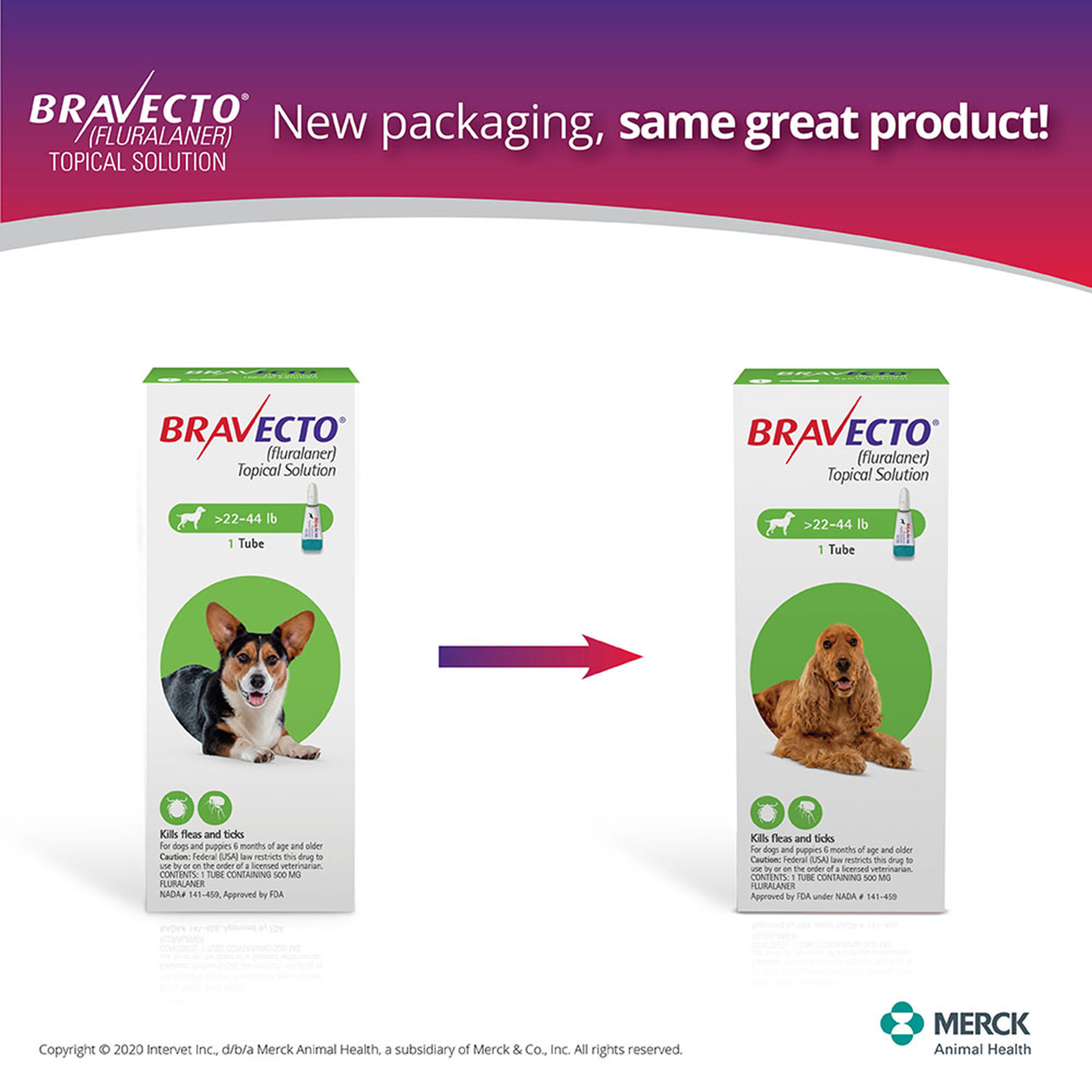 Bravecto Topical Solution for Dogs 4.4-9.9 lbs, 3 Month Supply