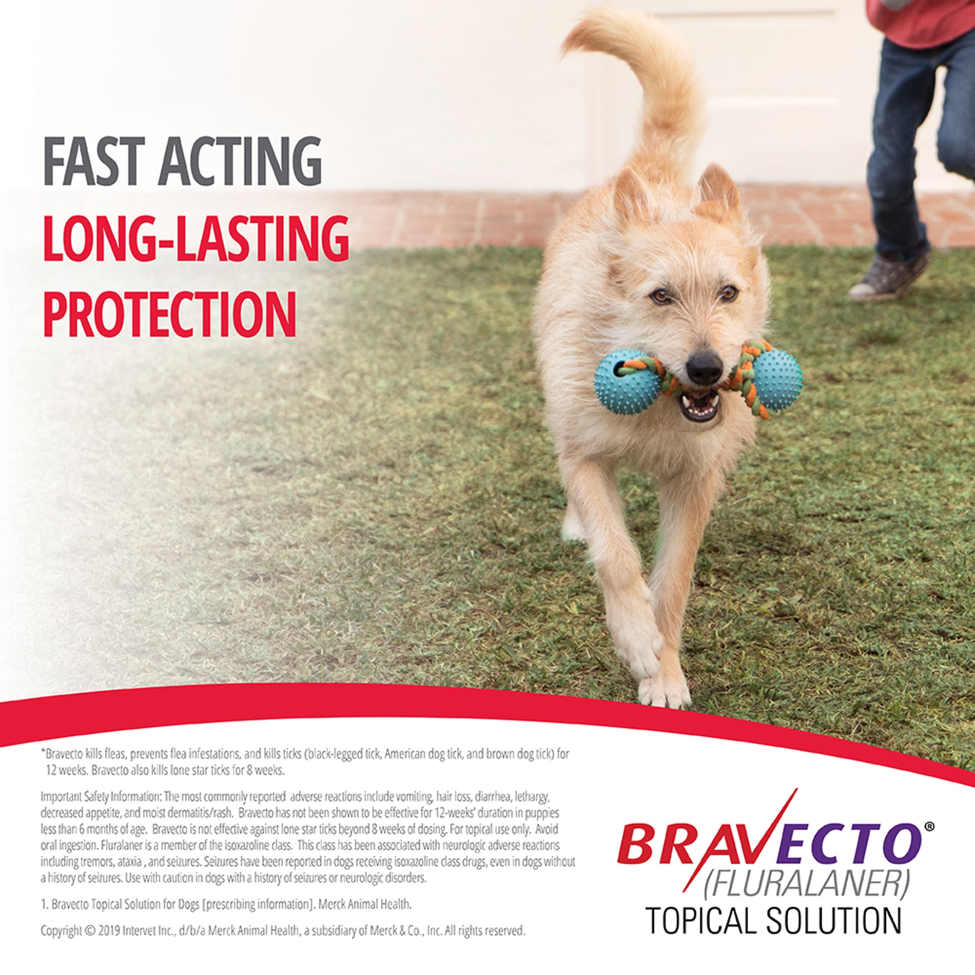 Bravecto Topical Solution for Dogs 88-123 lbs, 3 Month Supply