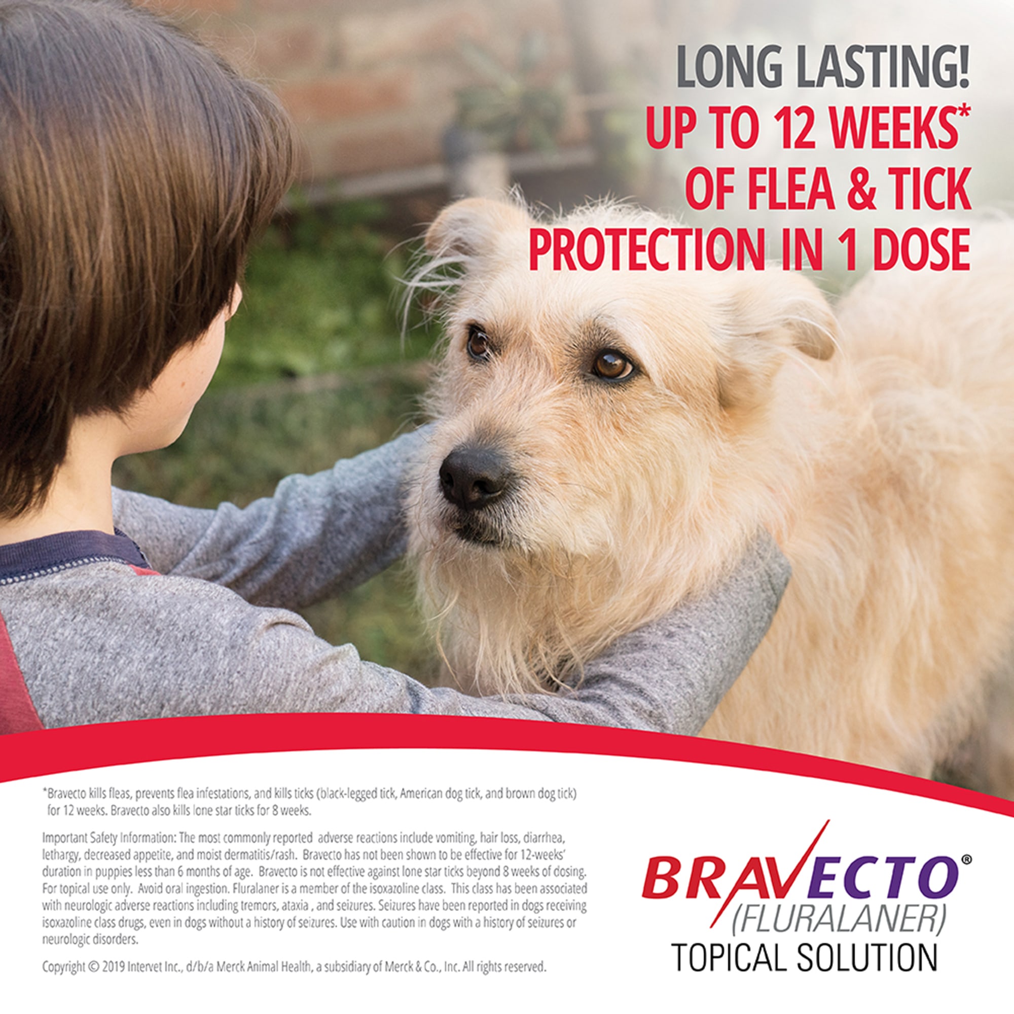 Bravecto Topical Solution for Dogs 88-123 lbs, 3 Month Supply