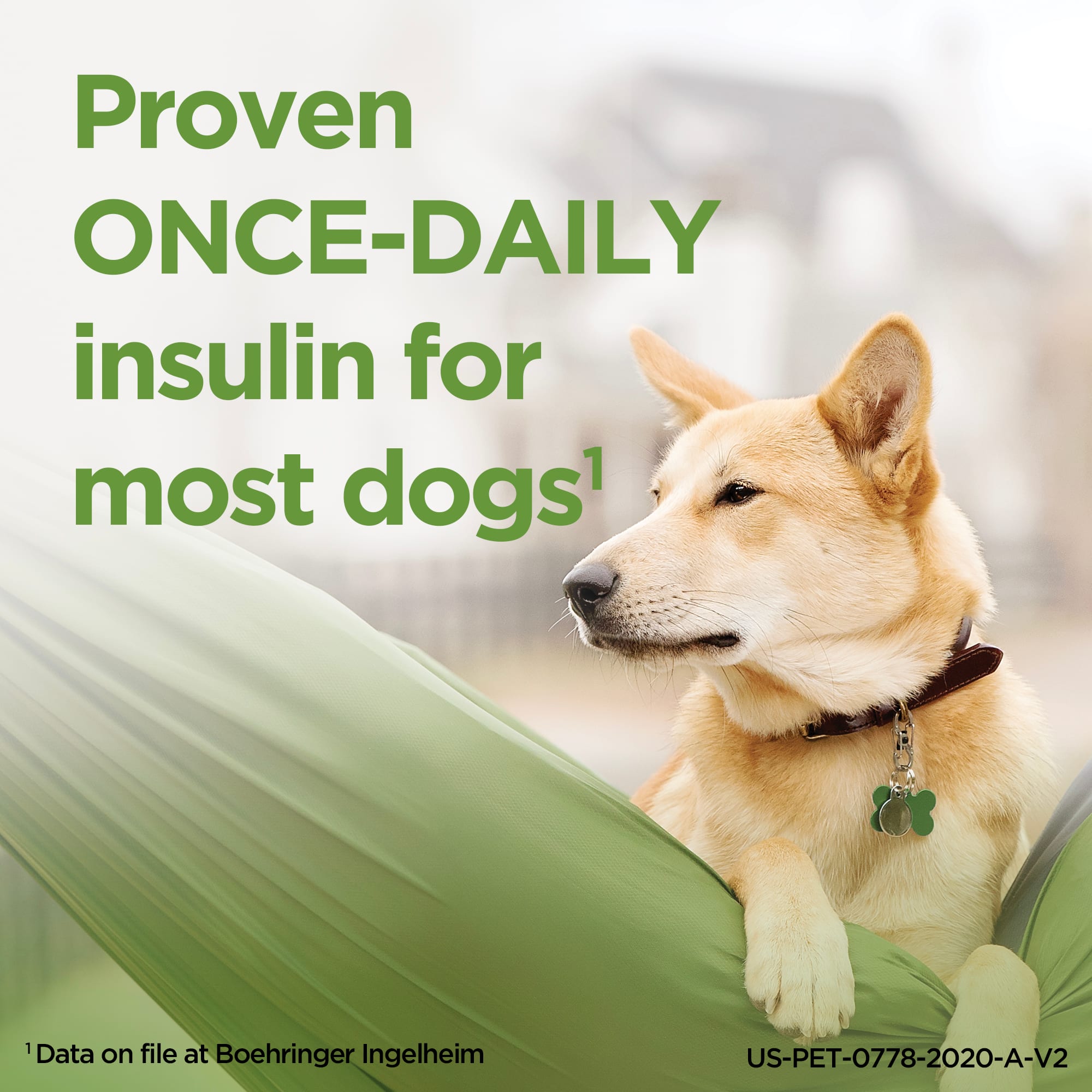 Petco insulin syringes sale