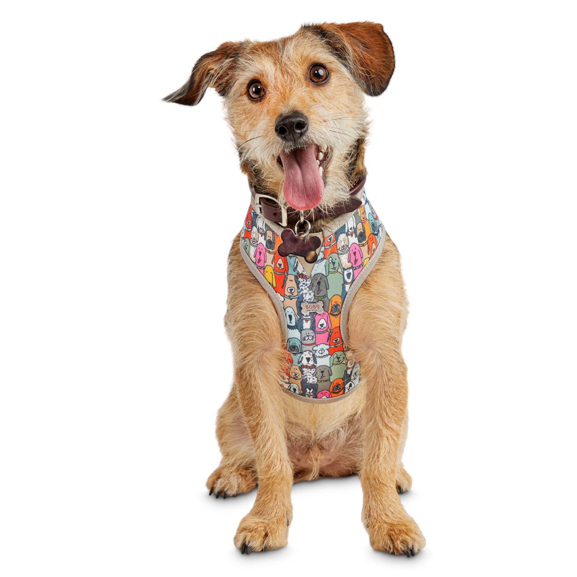 dog harness petco