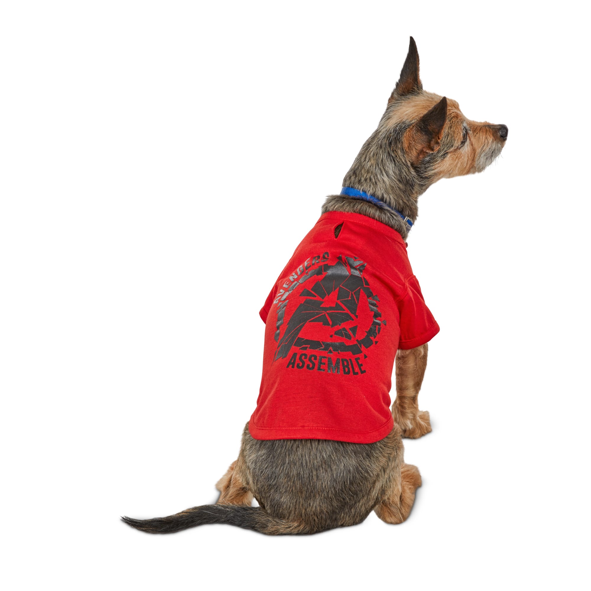 dog avengers shirt