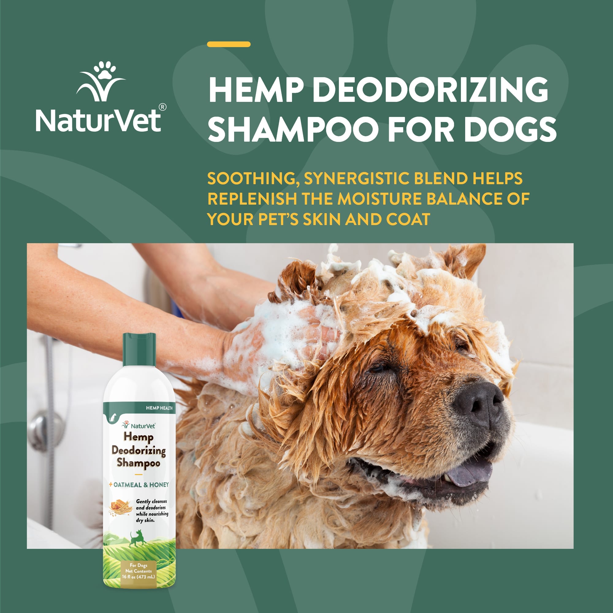 Dog hemp outlet shampoo