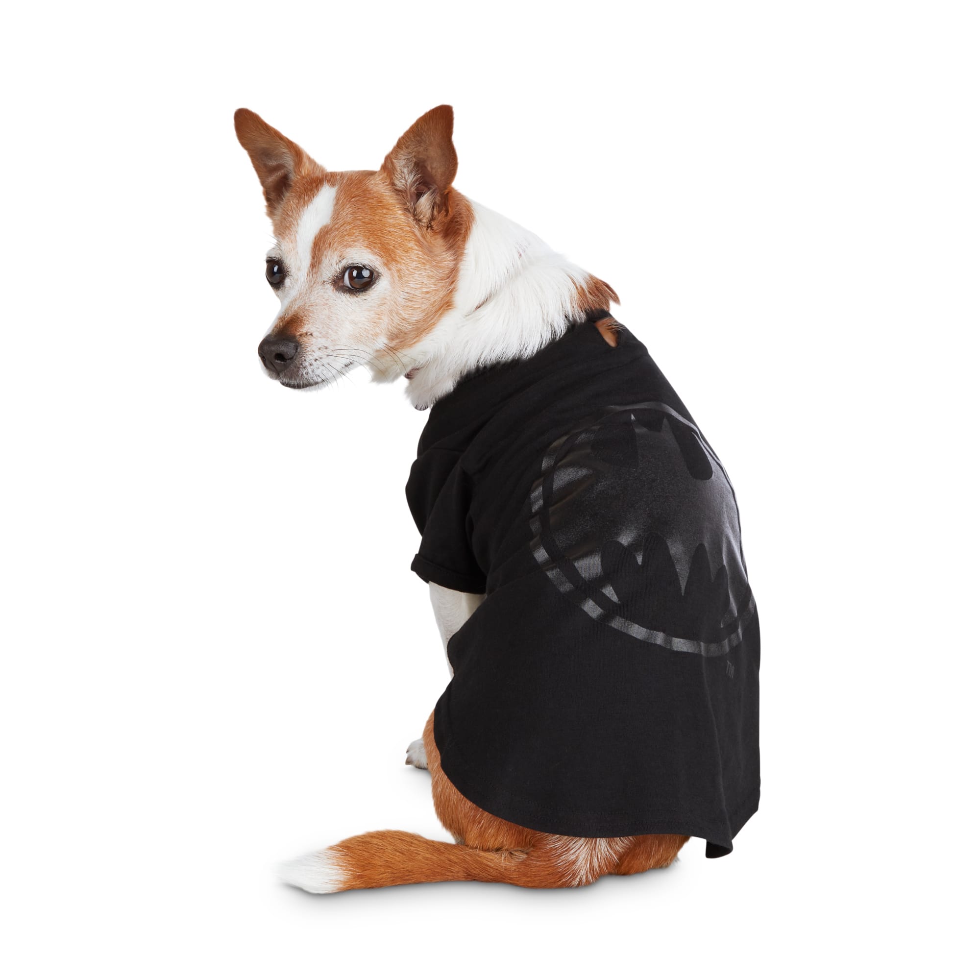 dog shirt