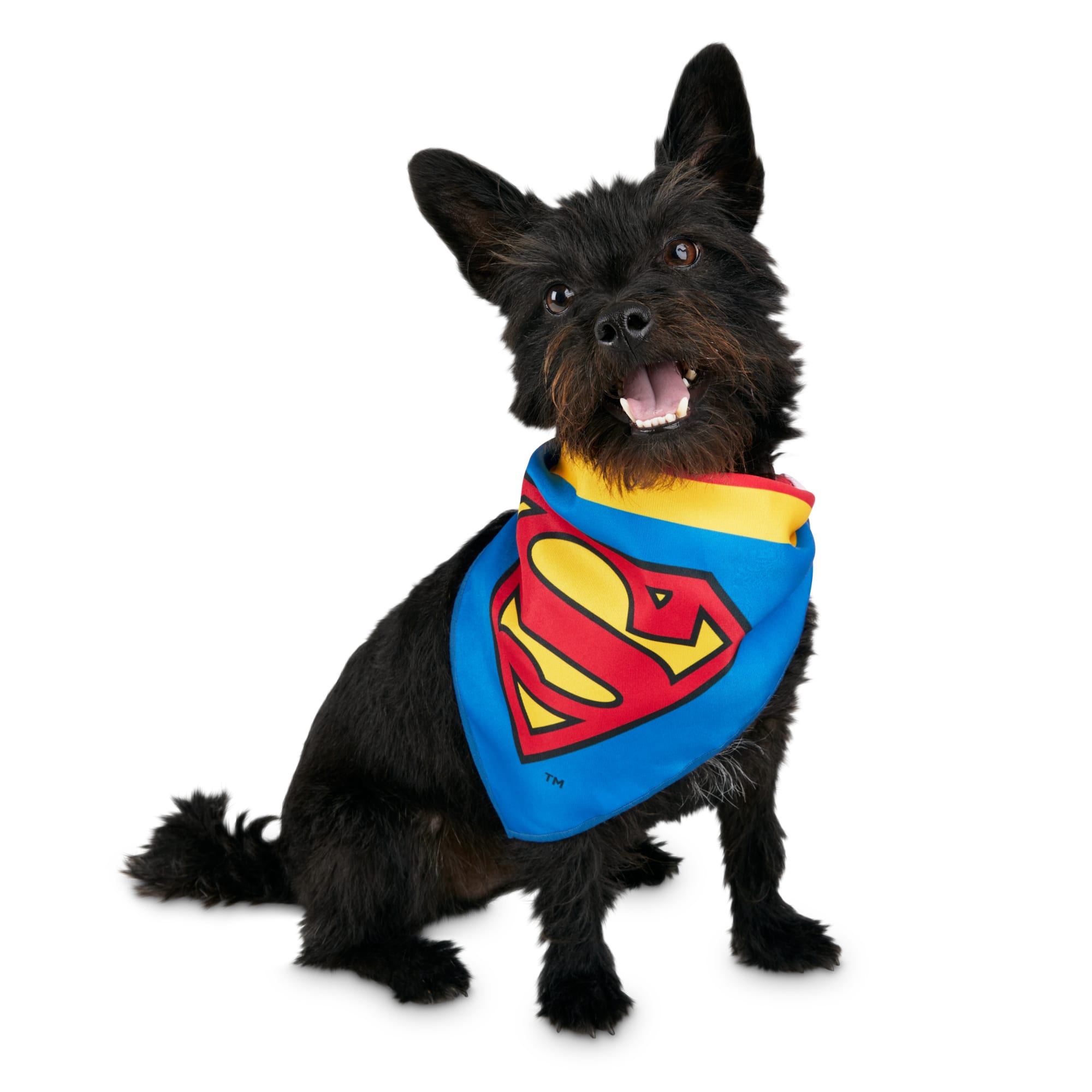 Superman dog clearance bandana