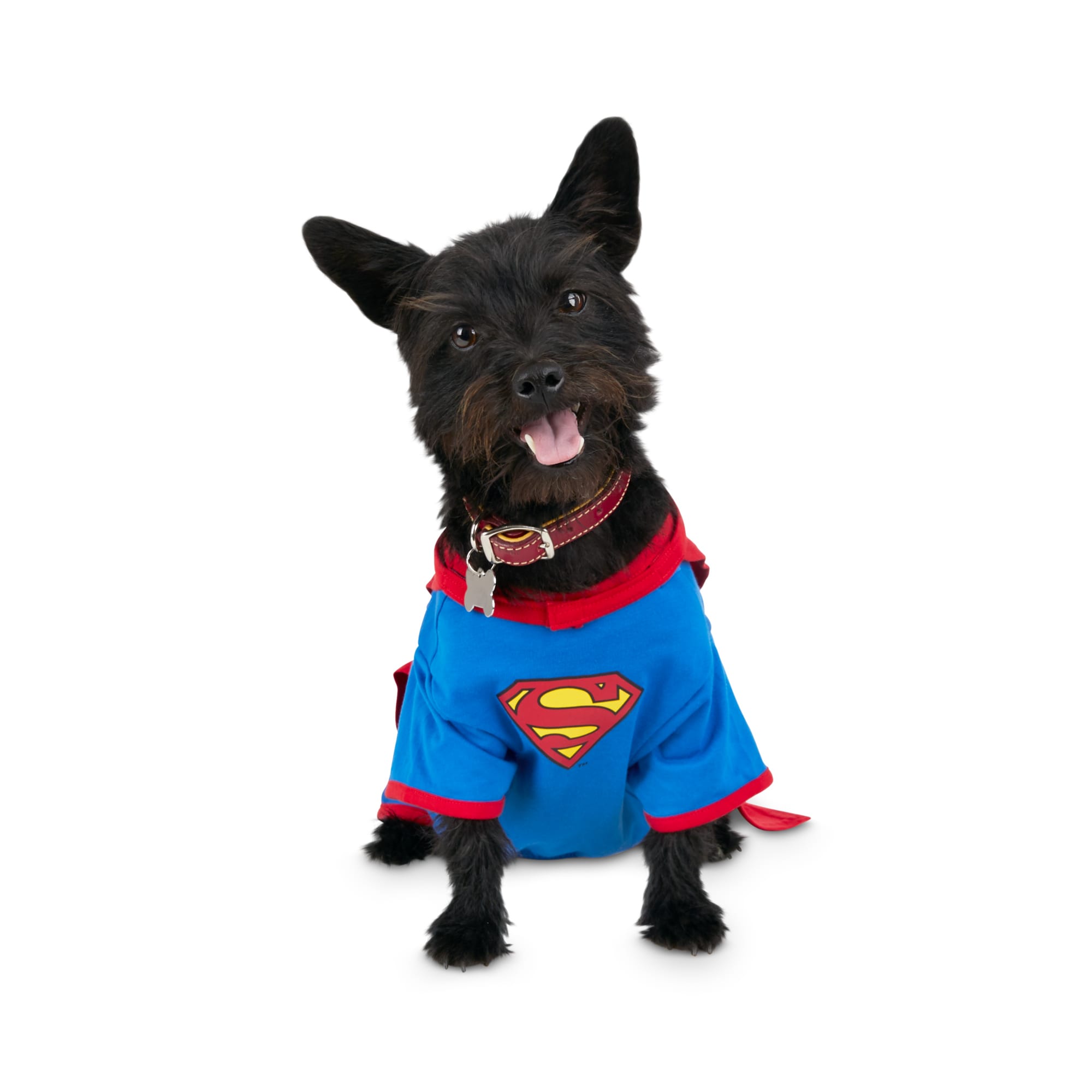 superman t shirt and cape