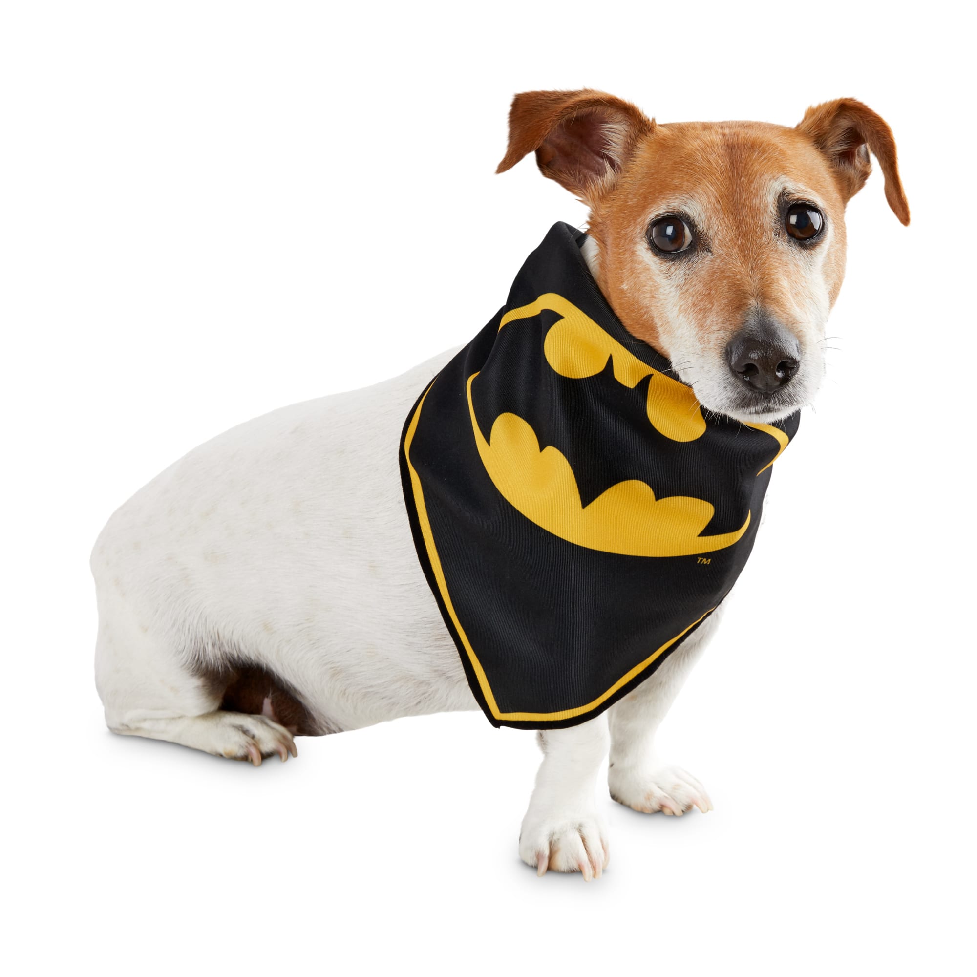 batman dog clothes