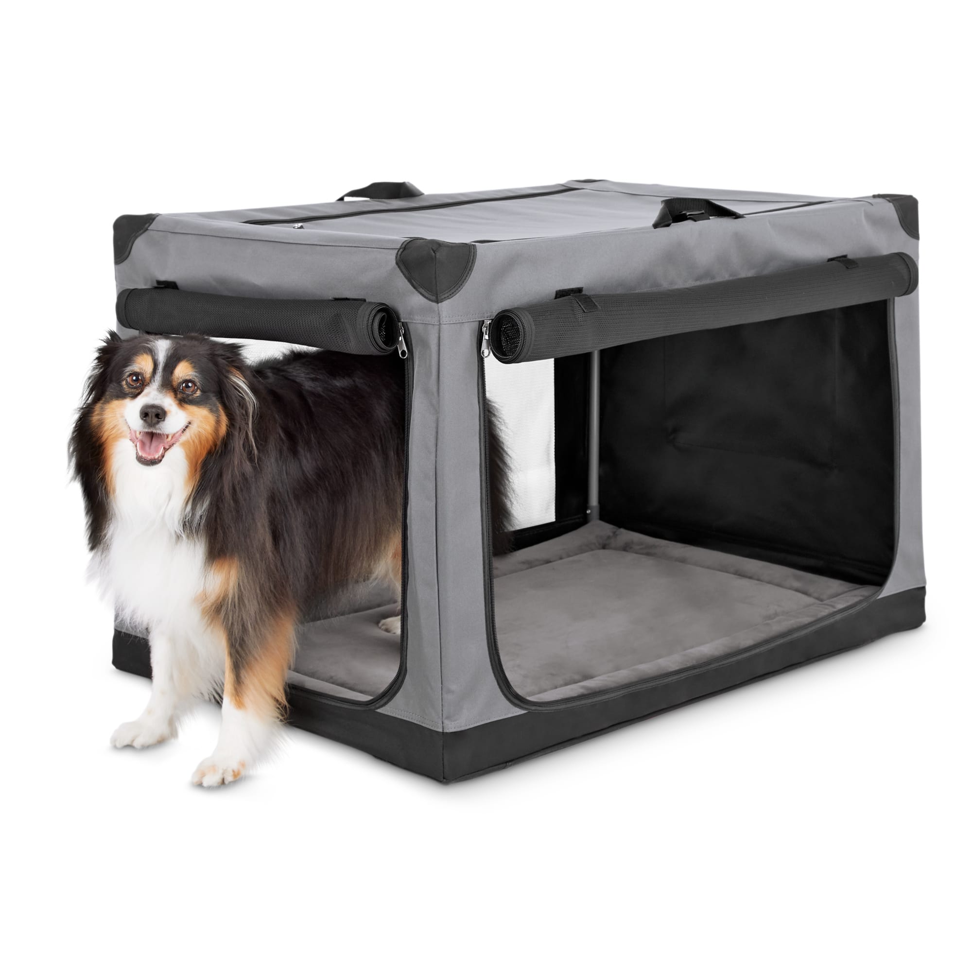 EveryYay Essentials Portable Canvas Dark Grey Dog Crate 36 L X 24 W X 23 H