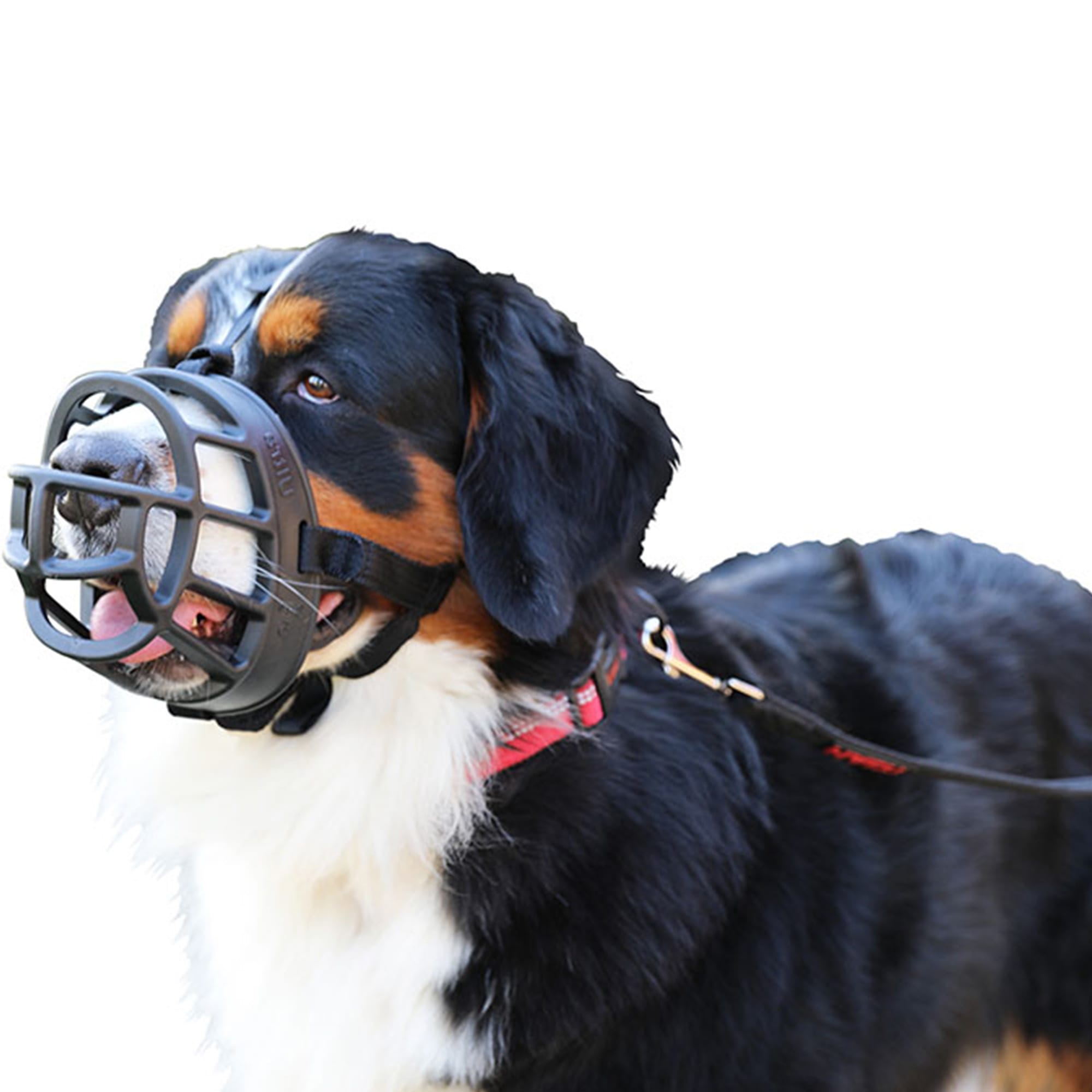 Baskerville Ultra Black Muzzle for Dogs Size 4 Petco