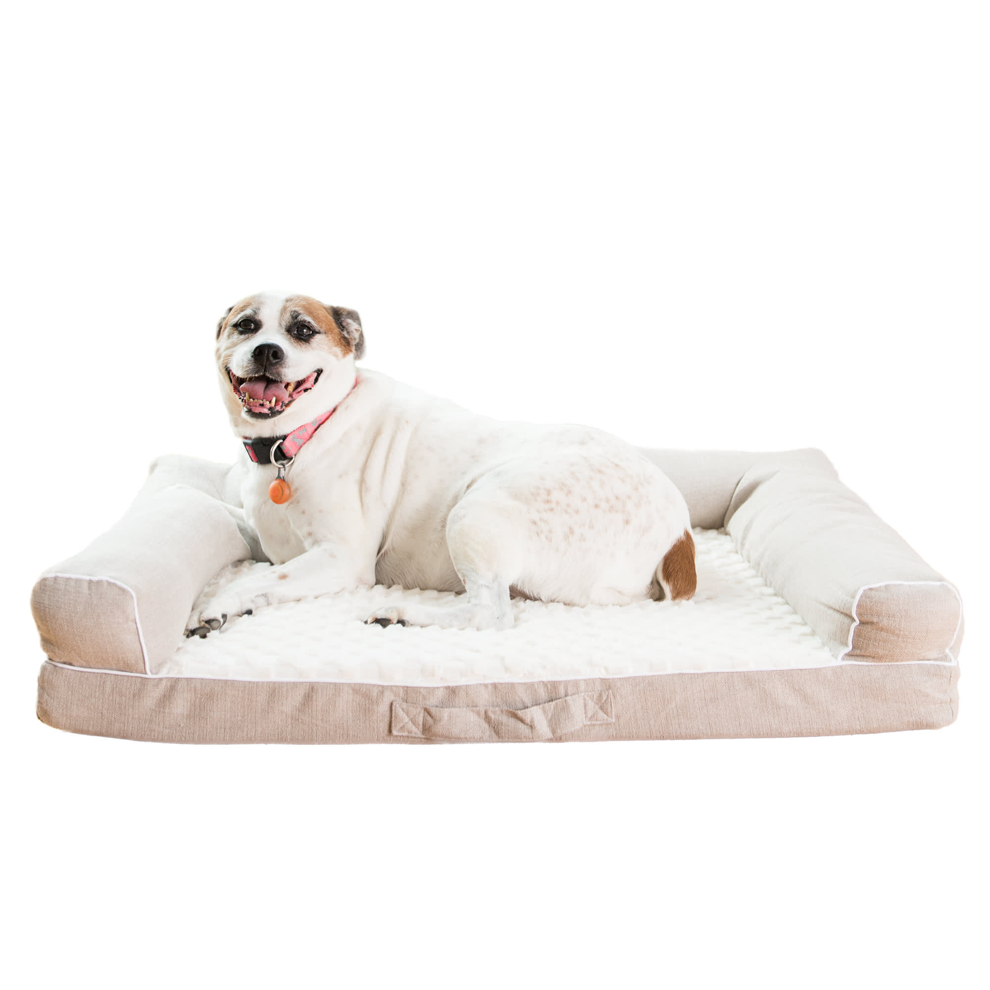 Armarkat dog hot sale bed