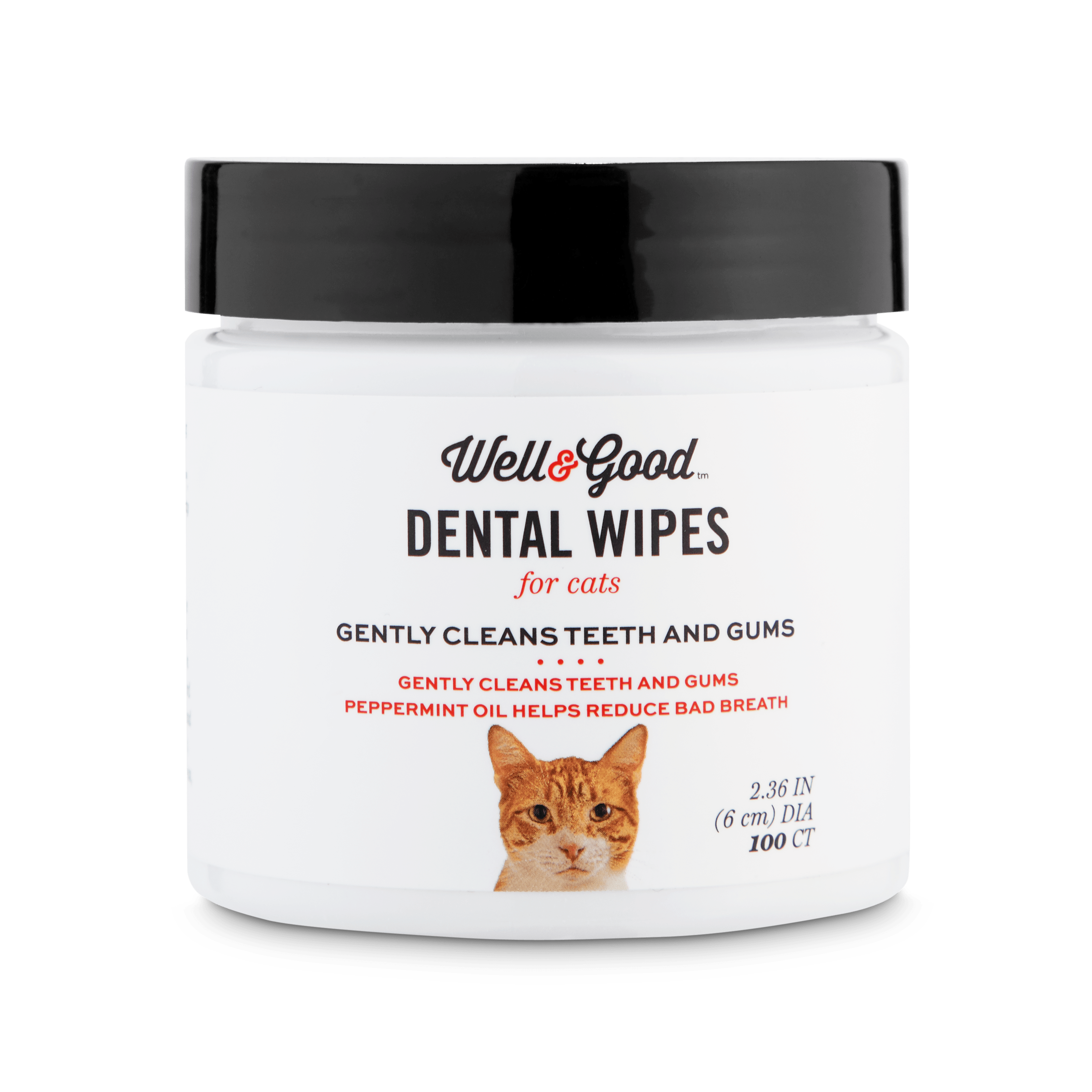 Cat teeth wipes best sale