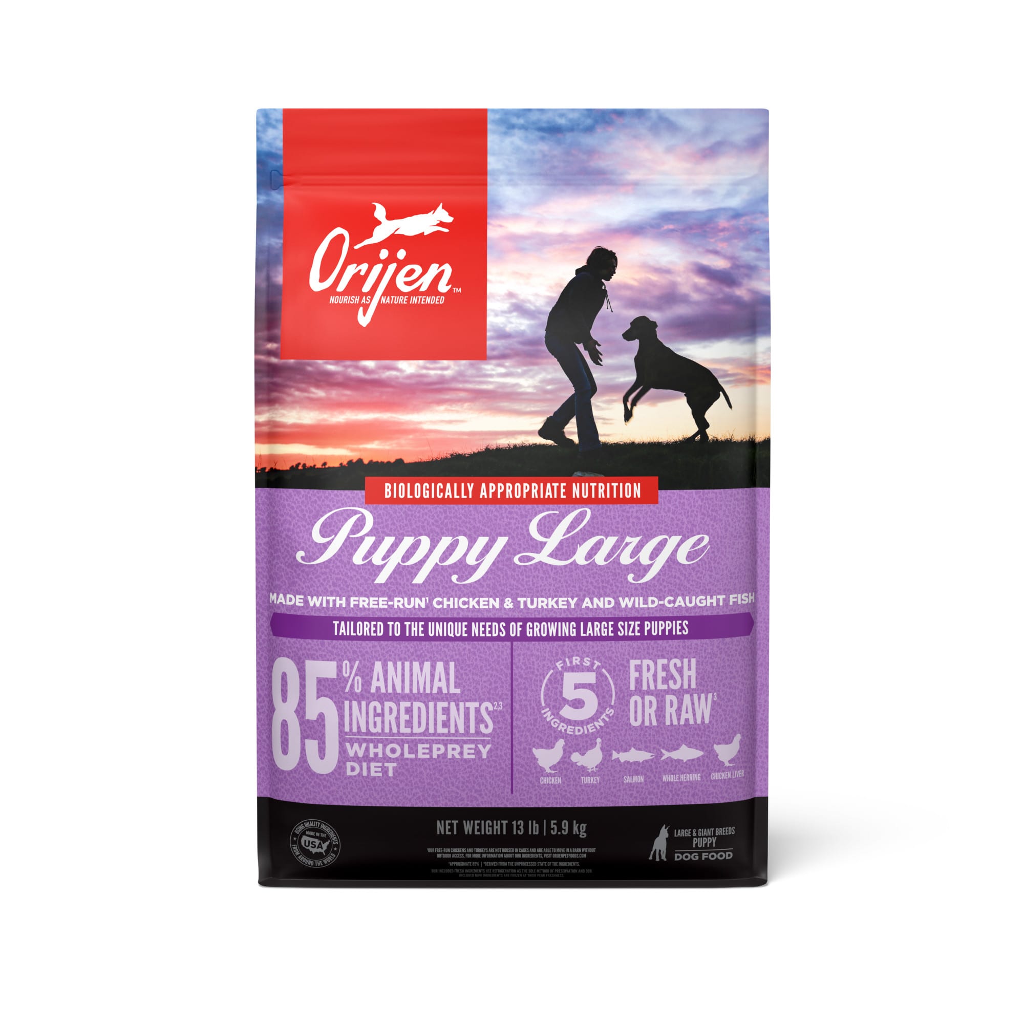 orijen puppy large breed feeding guide