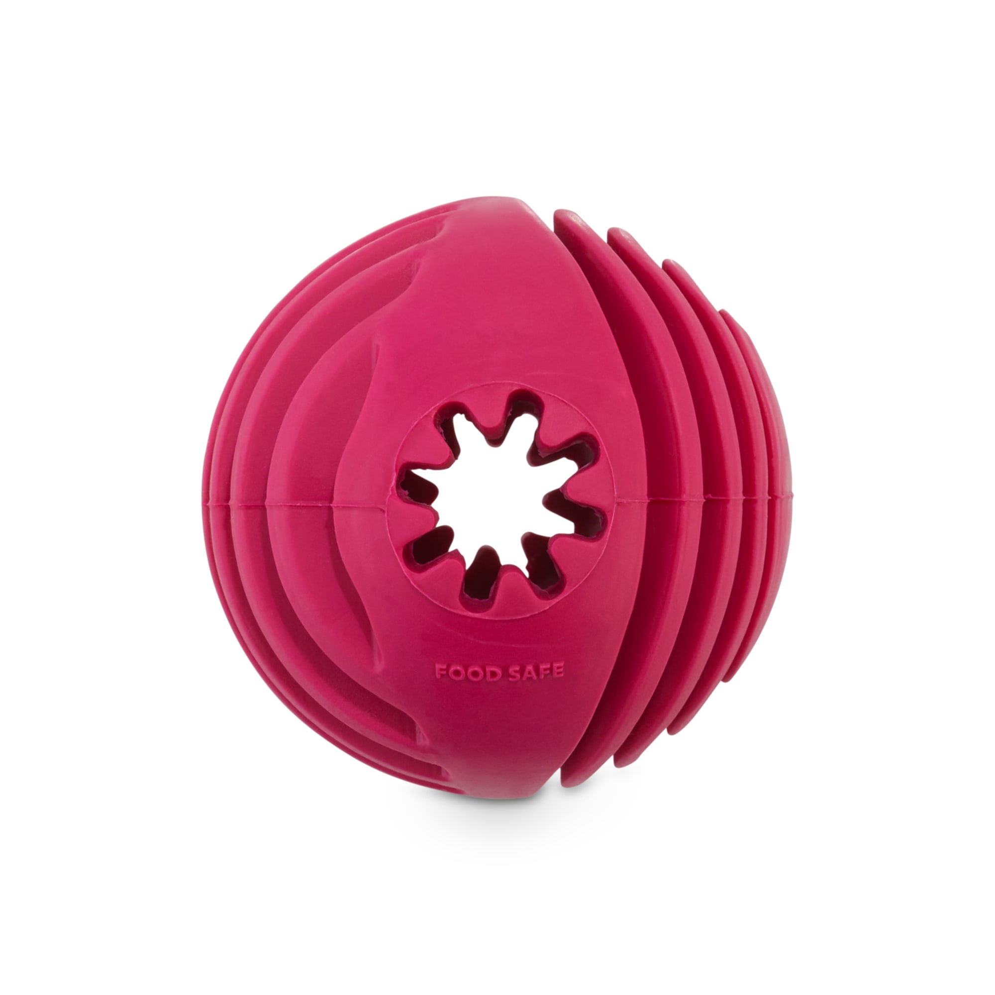 busy ball dog toy