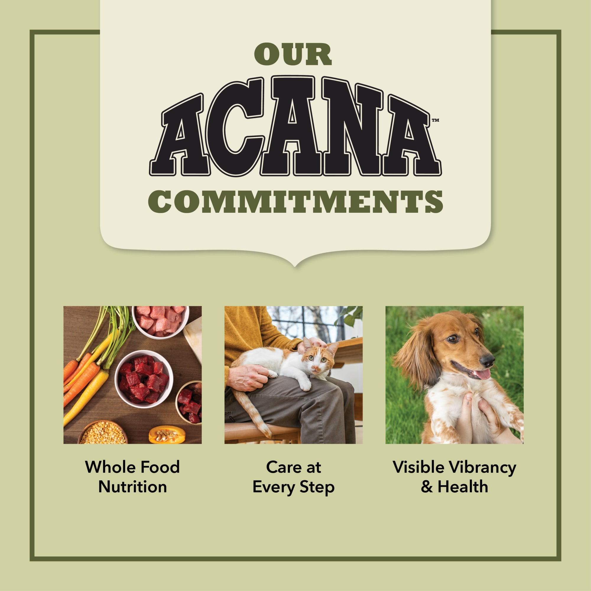 ACANA Grain Free Chicken Turkey Fish Cage Free Eggs Dry Puppy Food 25 lbs