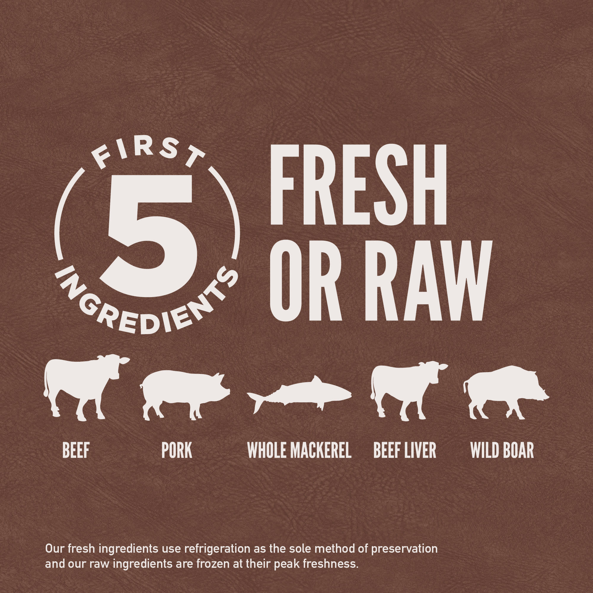 regional red cat food