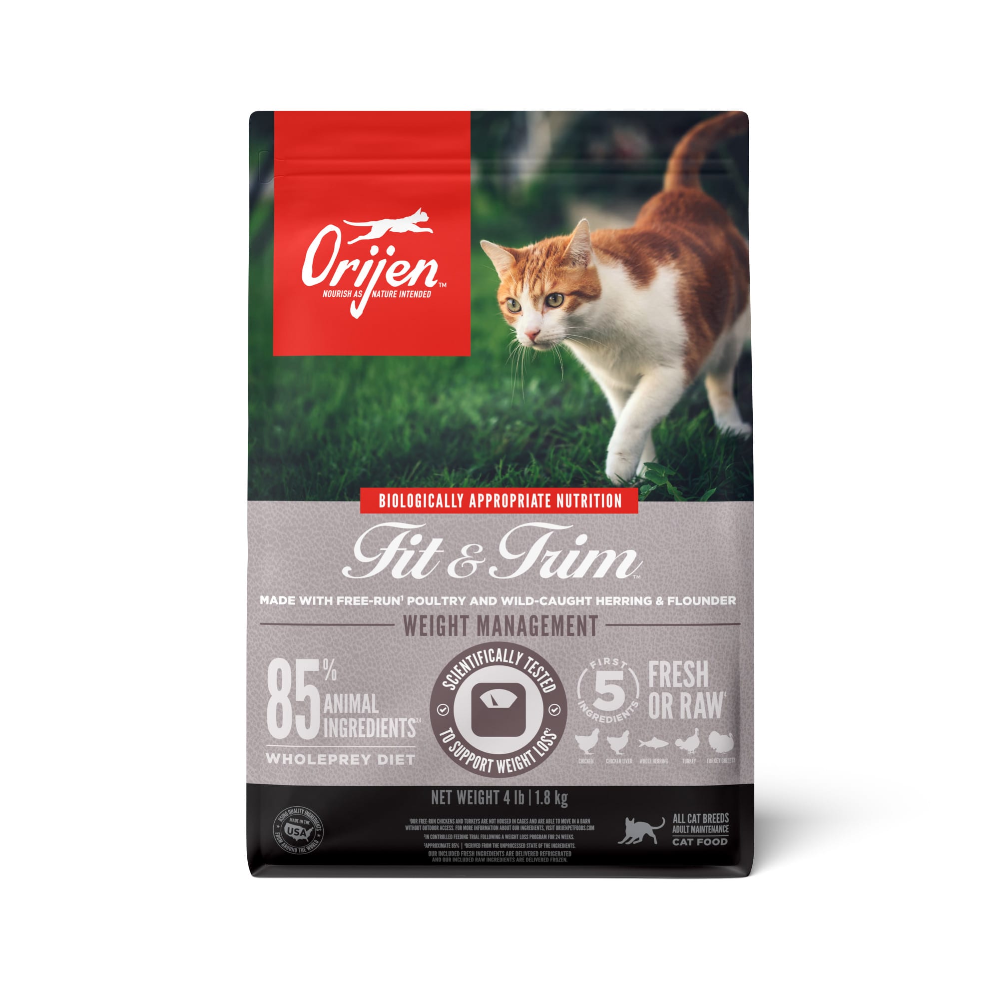 Orijen Cat Food Petsmart Clearance hubbardpress