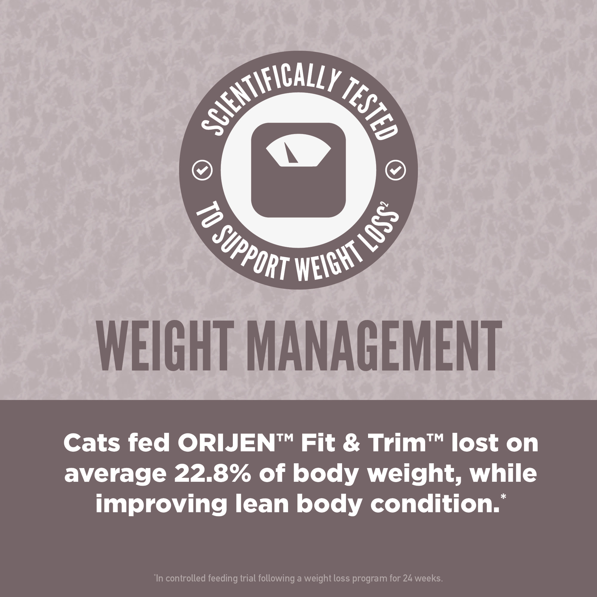 orijen fit and trim cat