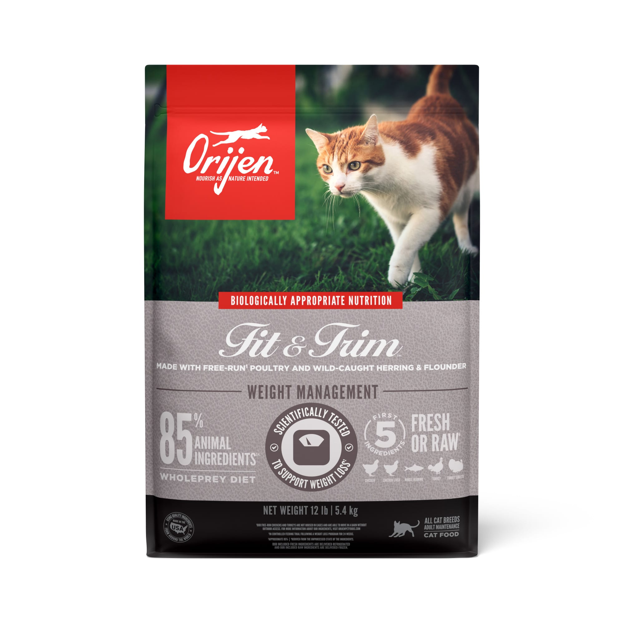 Orijen cat and kitten grain free 2025 dry cat food