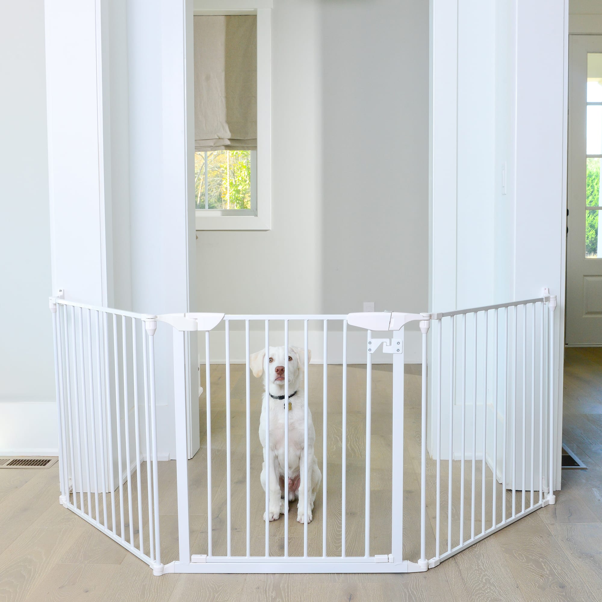 Expandable dog hot sale gate