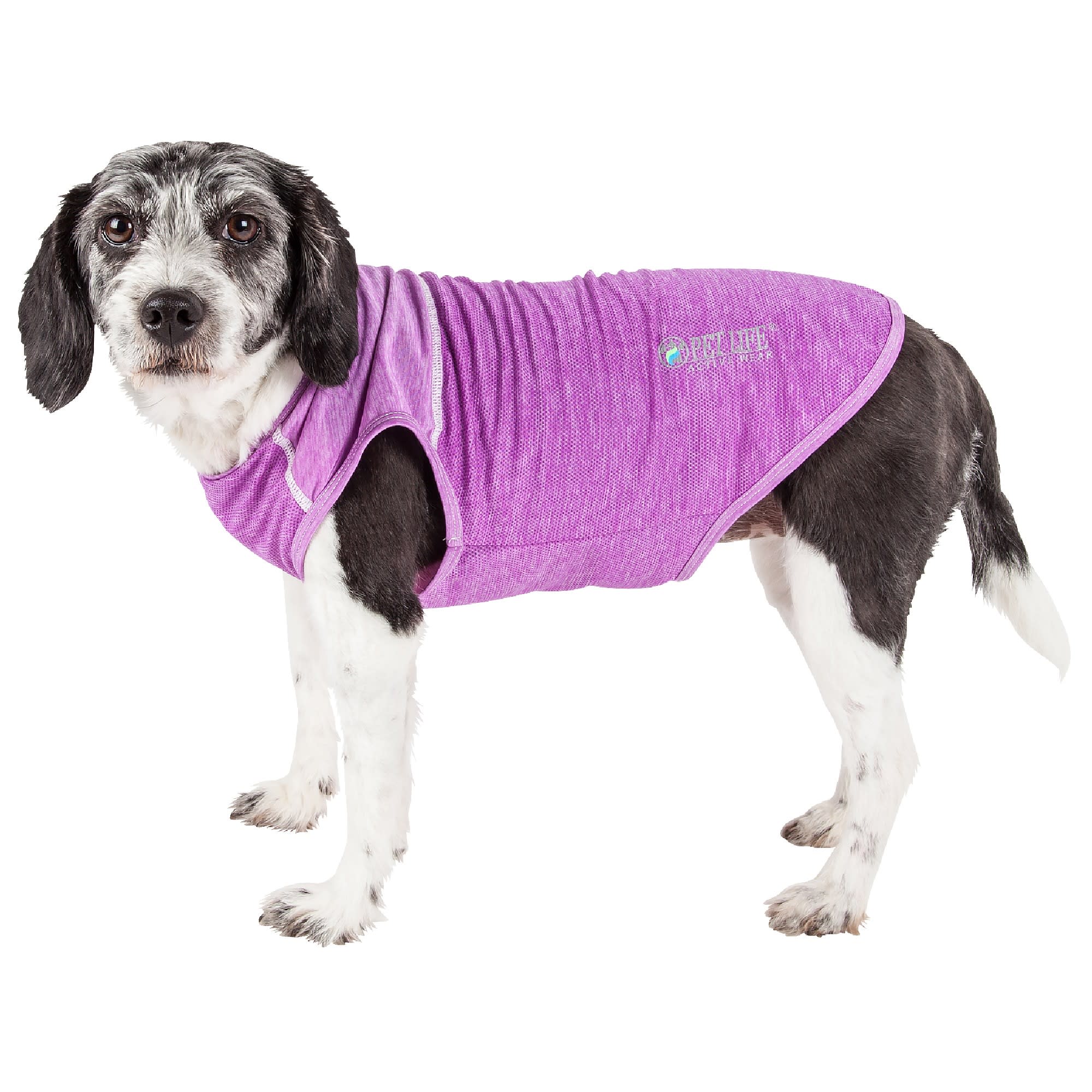 Pet Life Active 'Aero-Pawlse' Heathered Quick-Dry and 4-Way Stretch Performance Dog Tank Top T-Shirt, Large , Purple