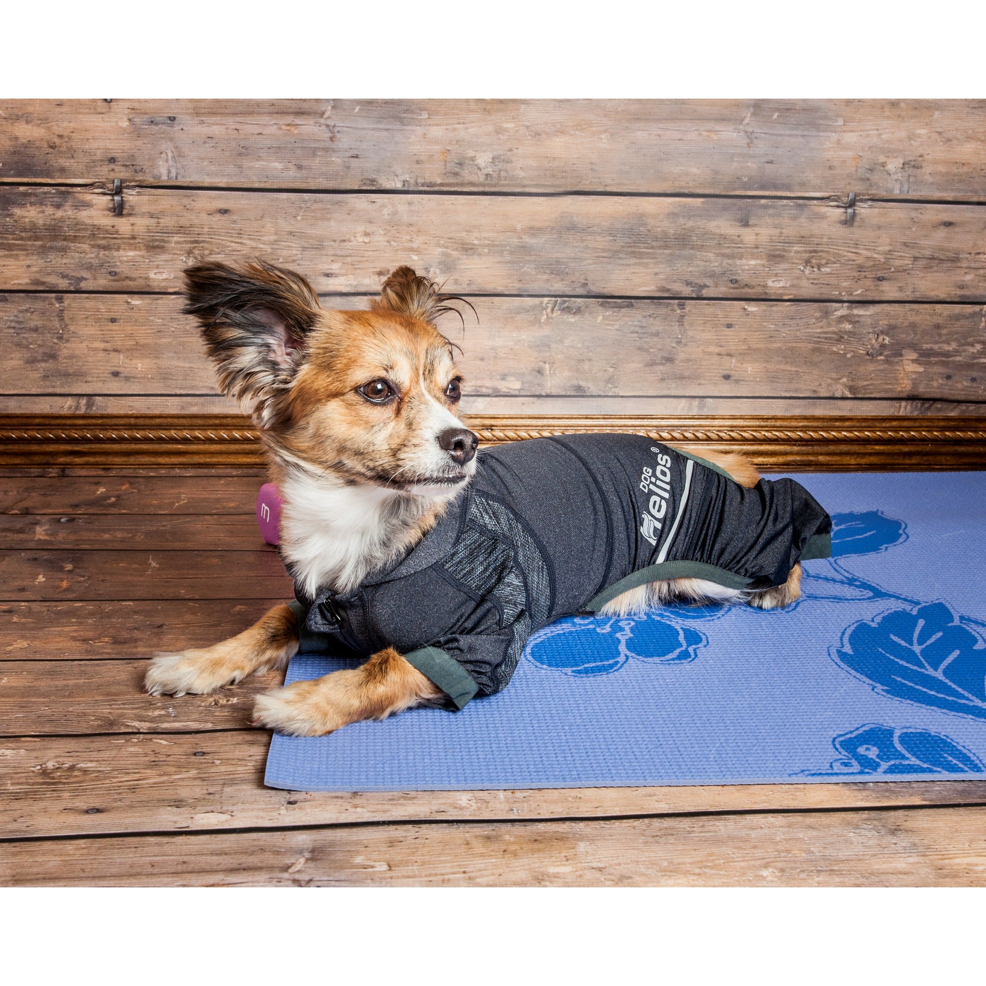 Dog Helios 'Namastail' Lightweight 4-Way Stretch Breathable Full Bodied Performance Yoga Dog Hoodie Tracksuit - Blue - Medium