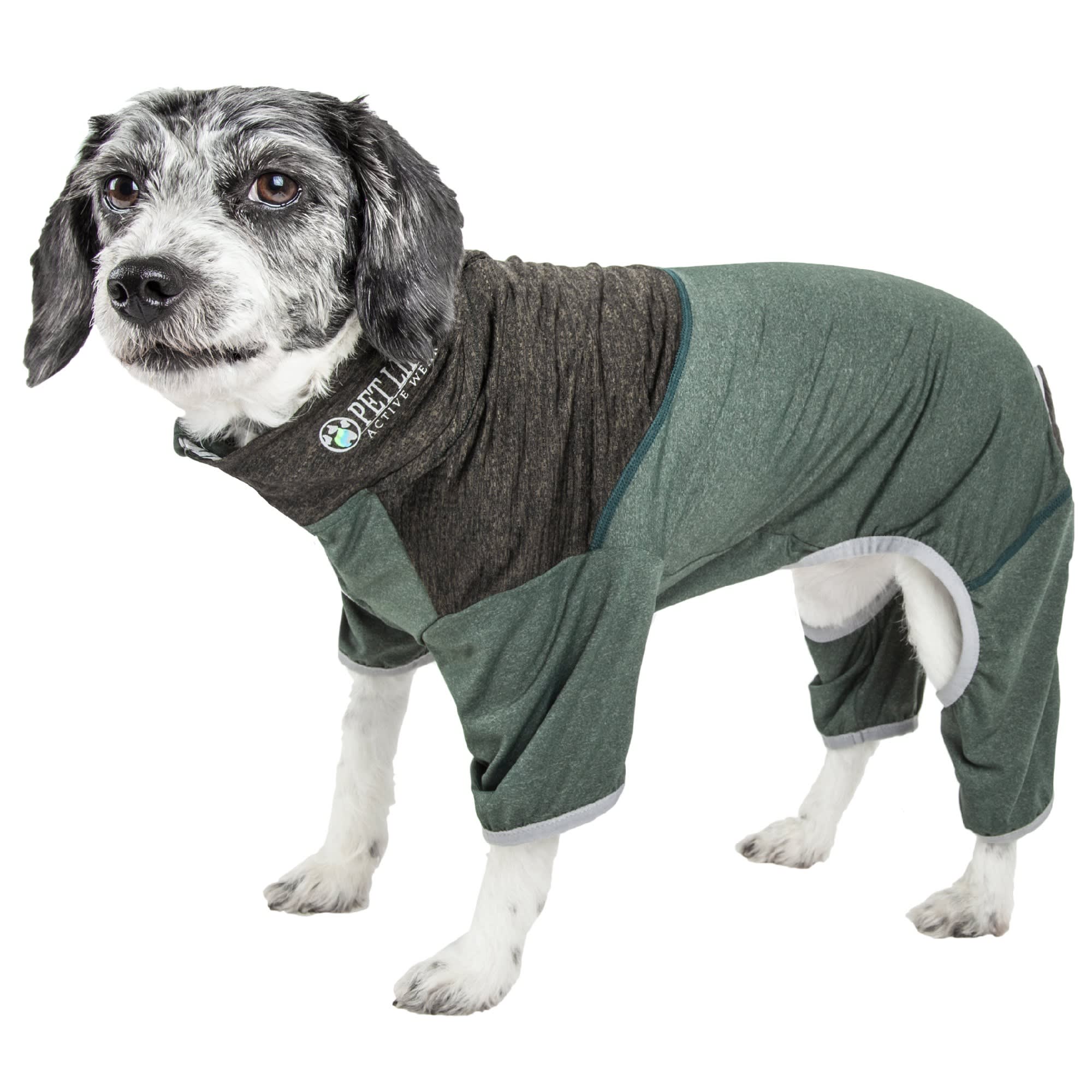 green dog jumper