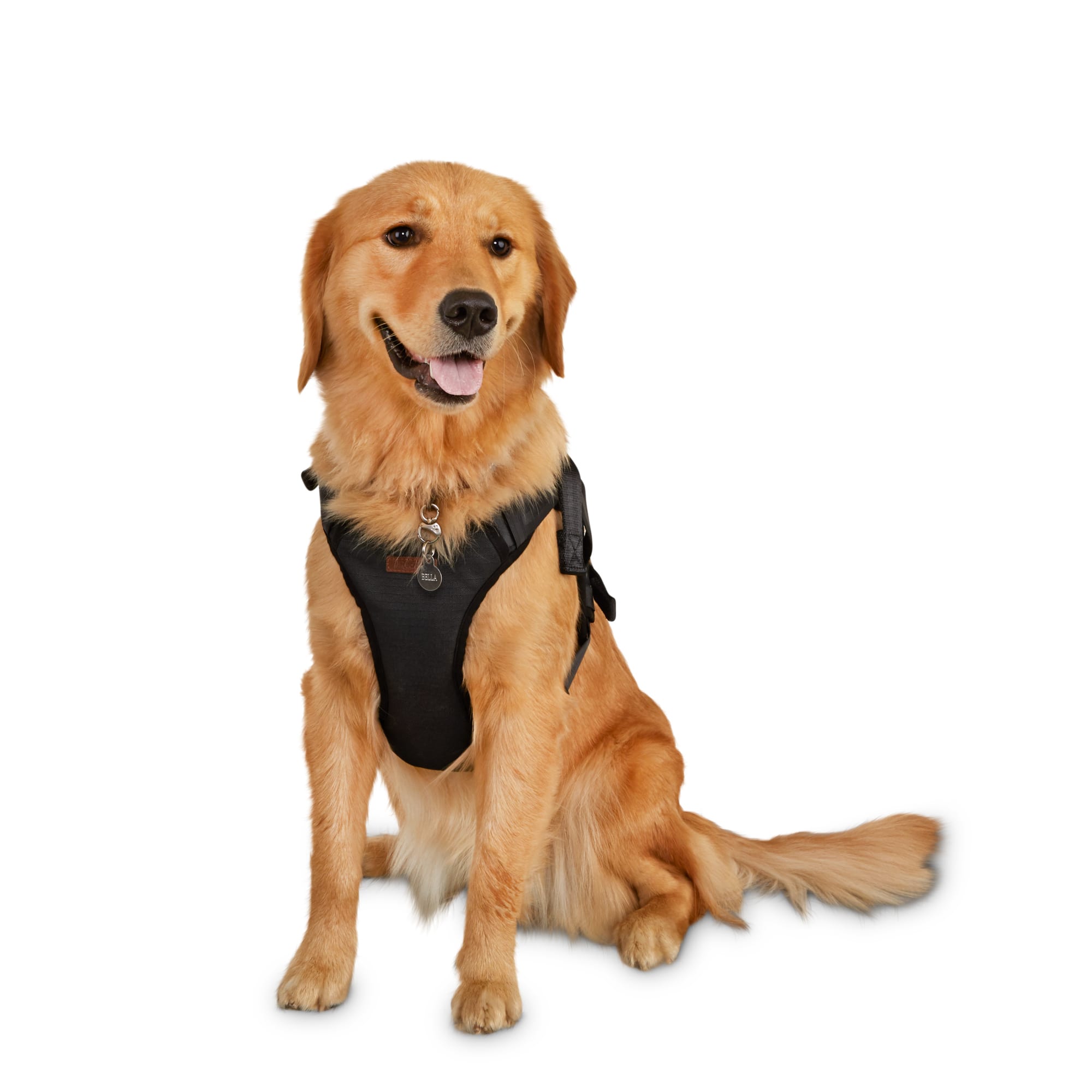 Petco 2025 reddy harness