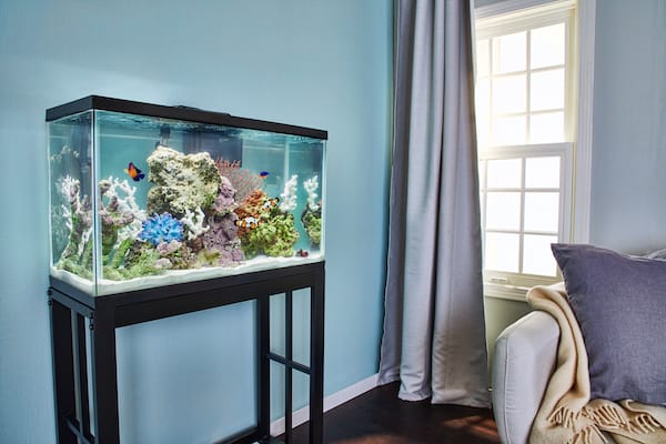 fish and aquarium stores near me