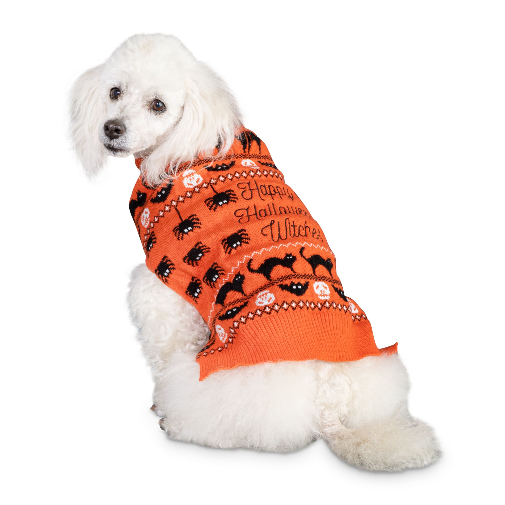 pumpkin dog sweater