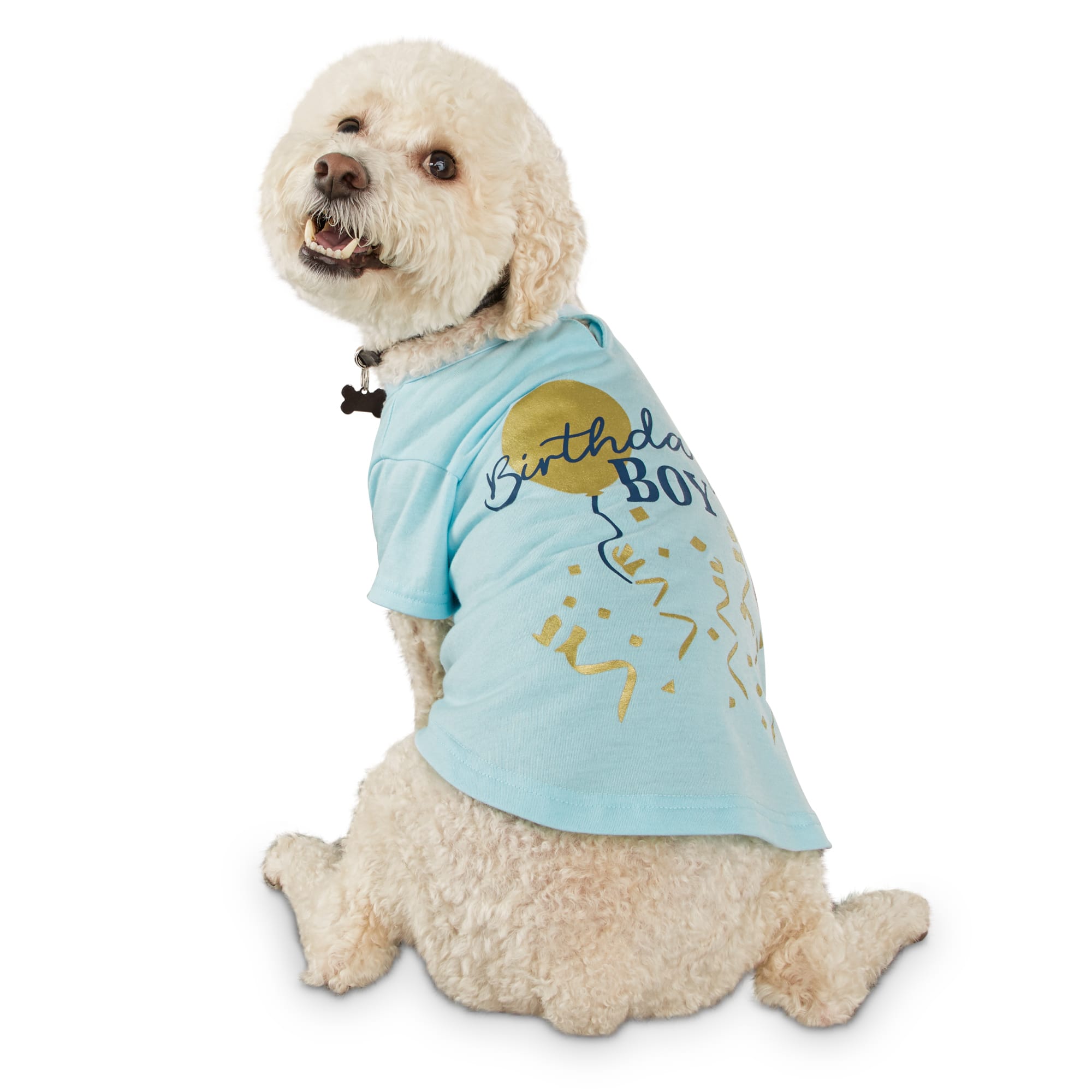 Bond \u0026 Co. Birthday Boy Dog T-Shirt, X 