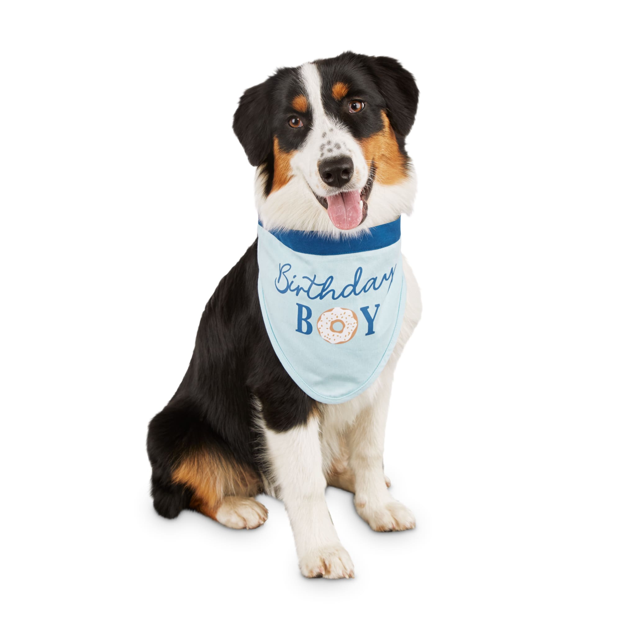 dog bandana small