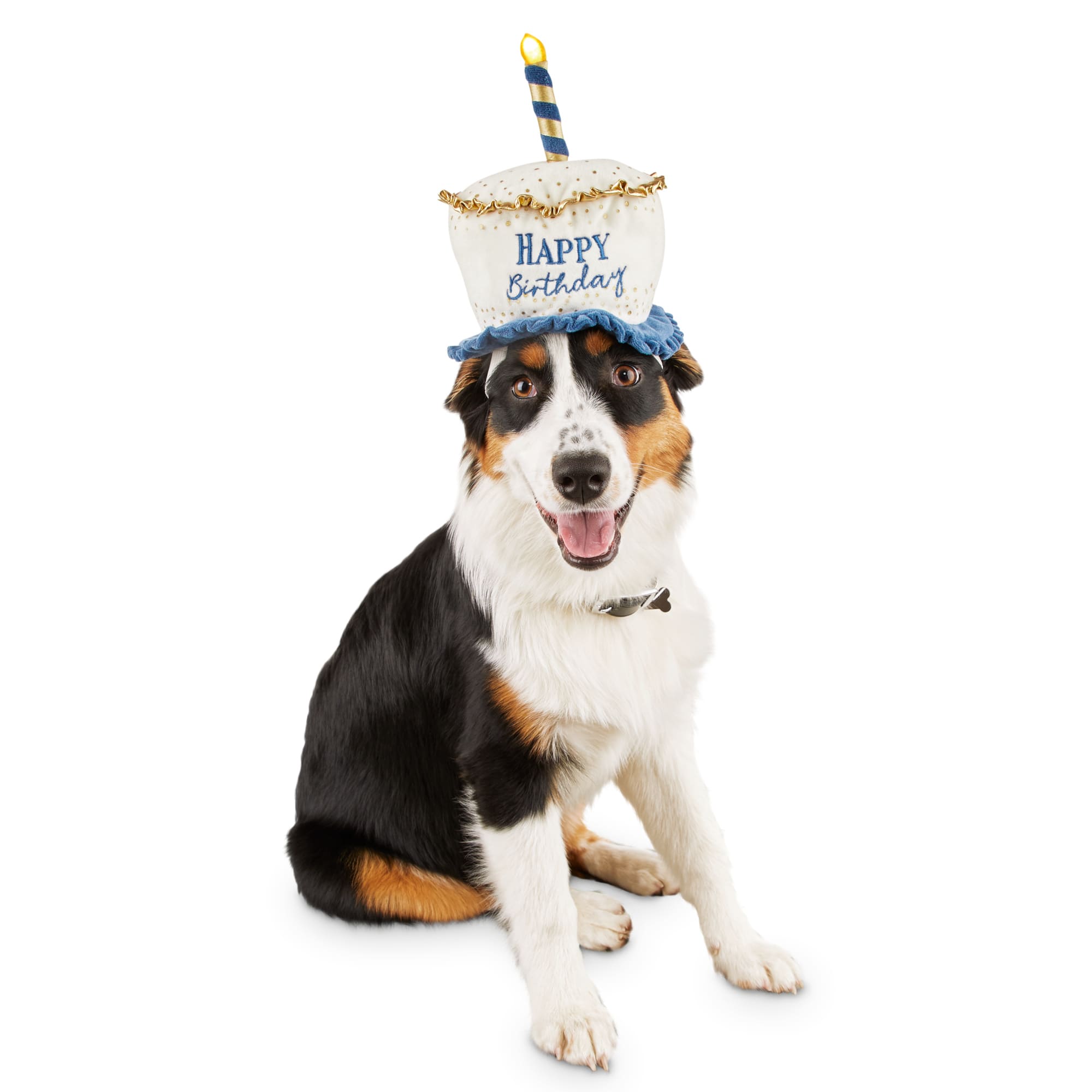 Bond \u0026 Co. Light Up Birthday Dog Hat 