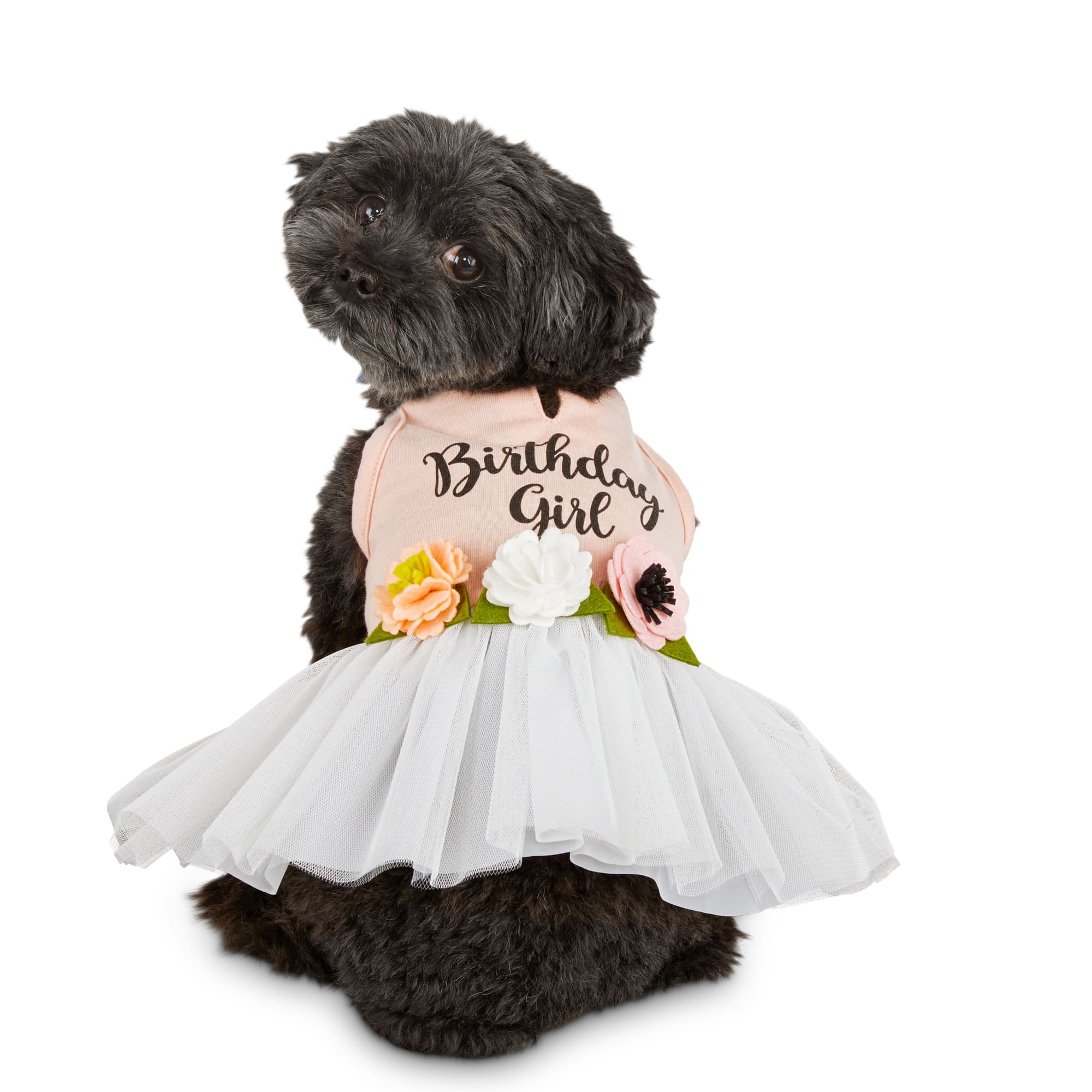 Bond \u0026 Co. Birthday Girl Dog Dress, X 