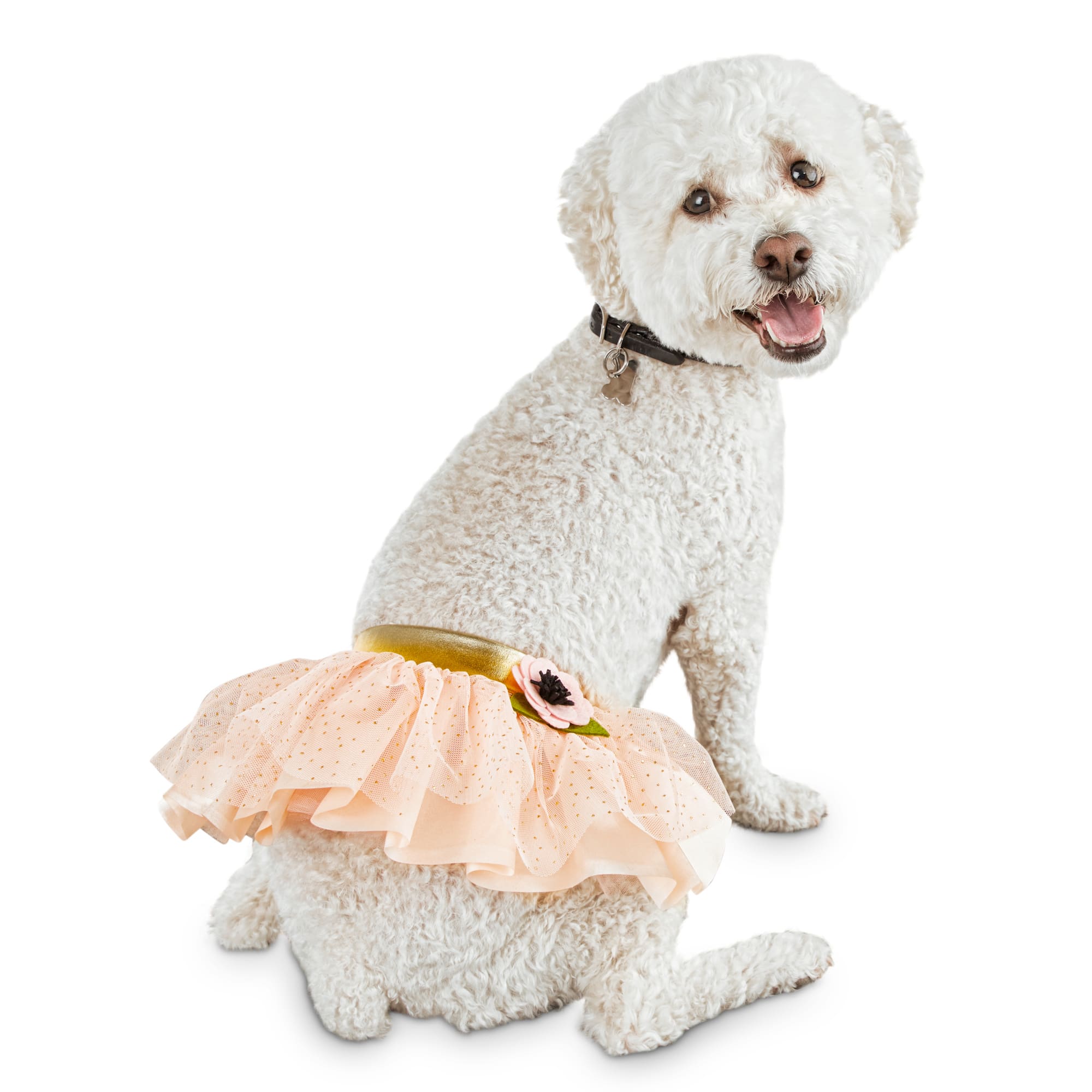 small dog tutu